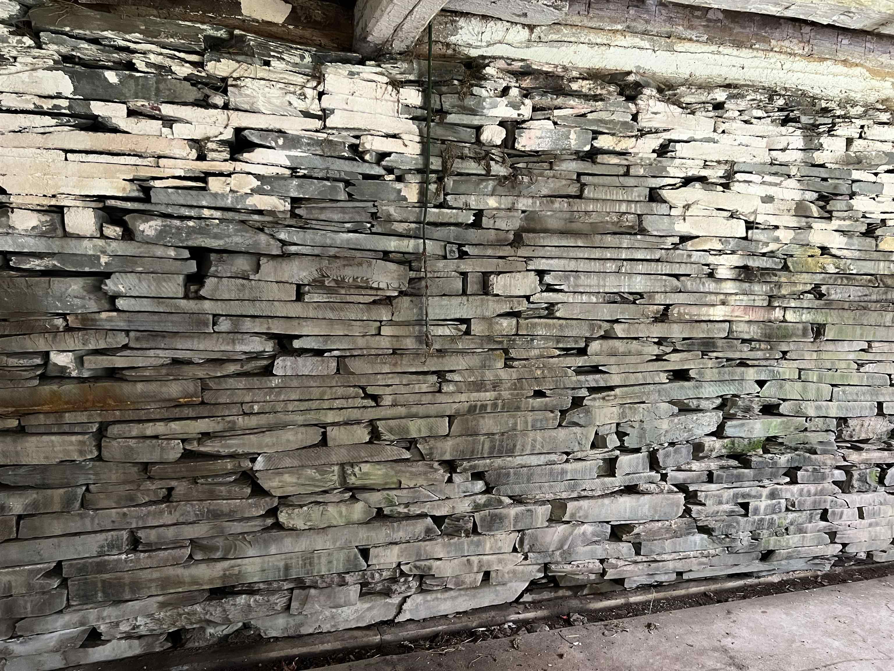 249 Ward Road Property Photo 50