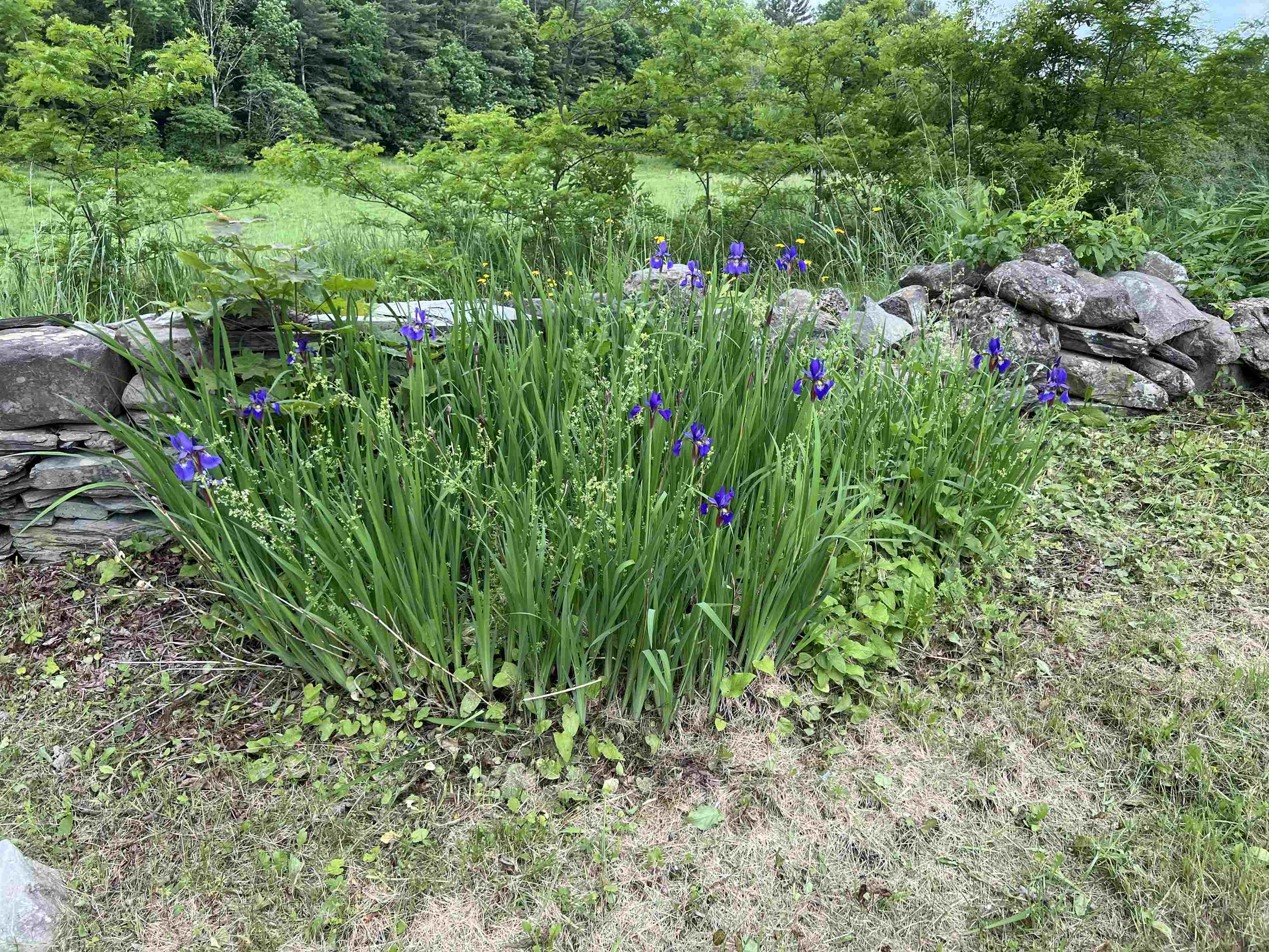 249 Ward Road Property Photo 51