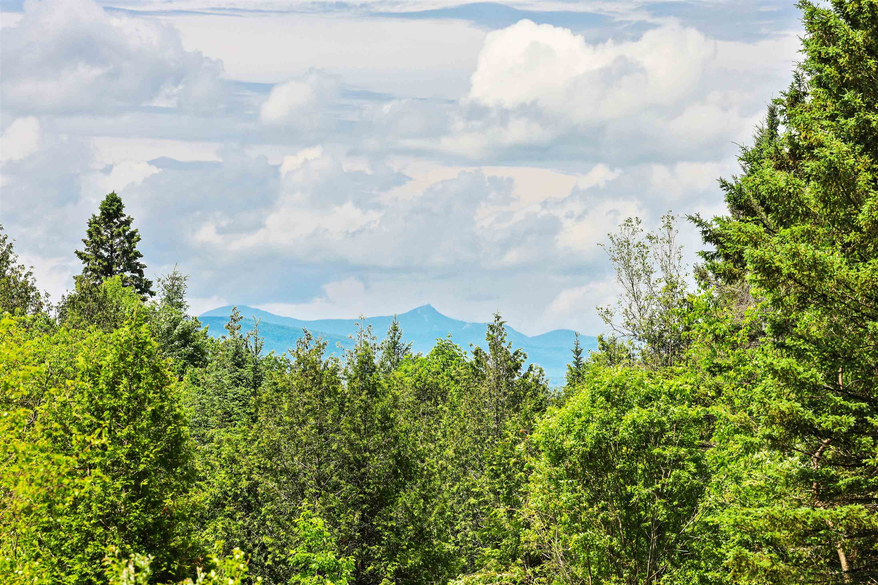 1435 Dexter Mountain Road Property Photo 6