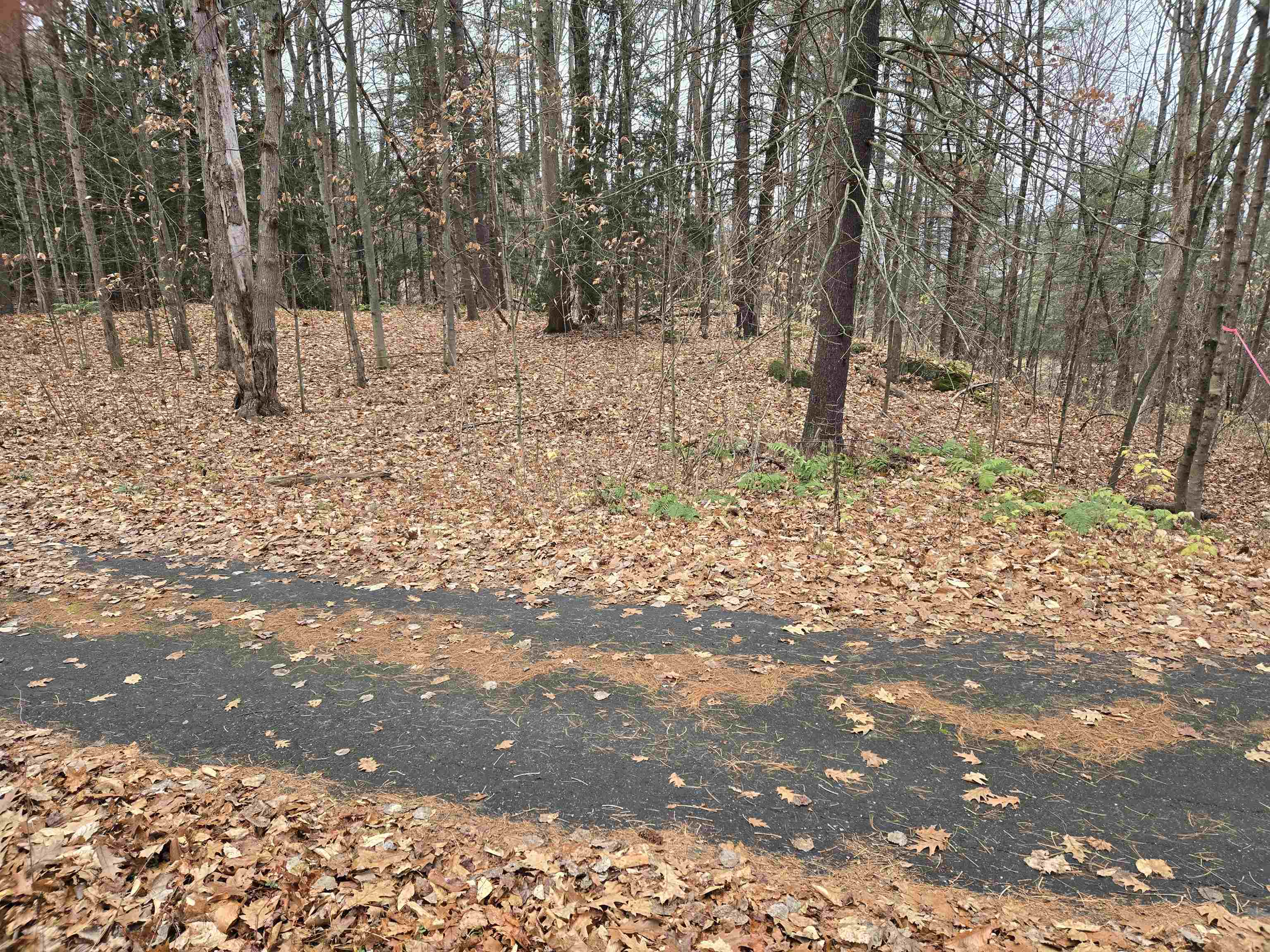 Lot 09-195-003 Winsor Drive Property Photo 1