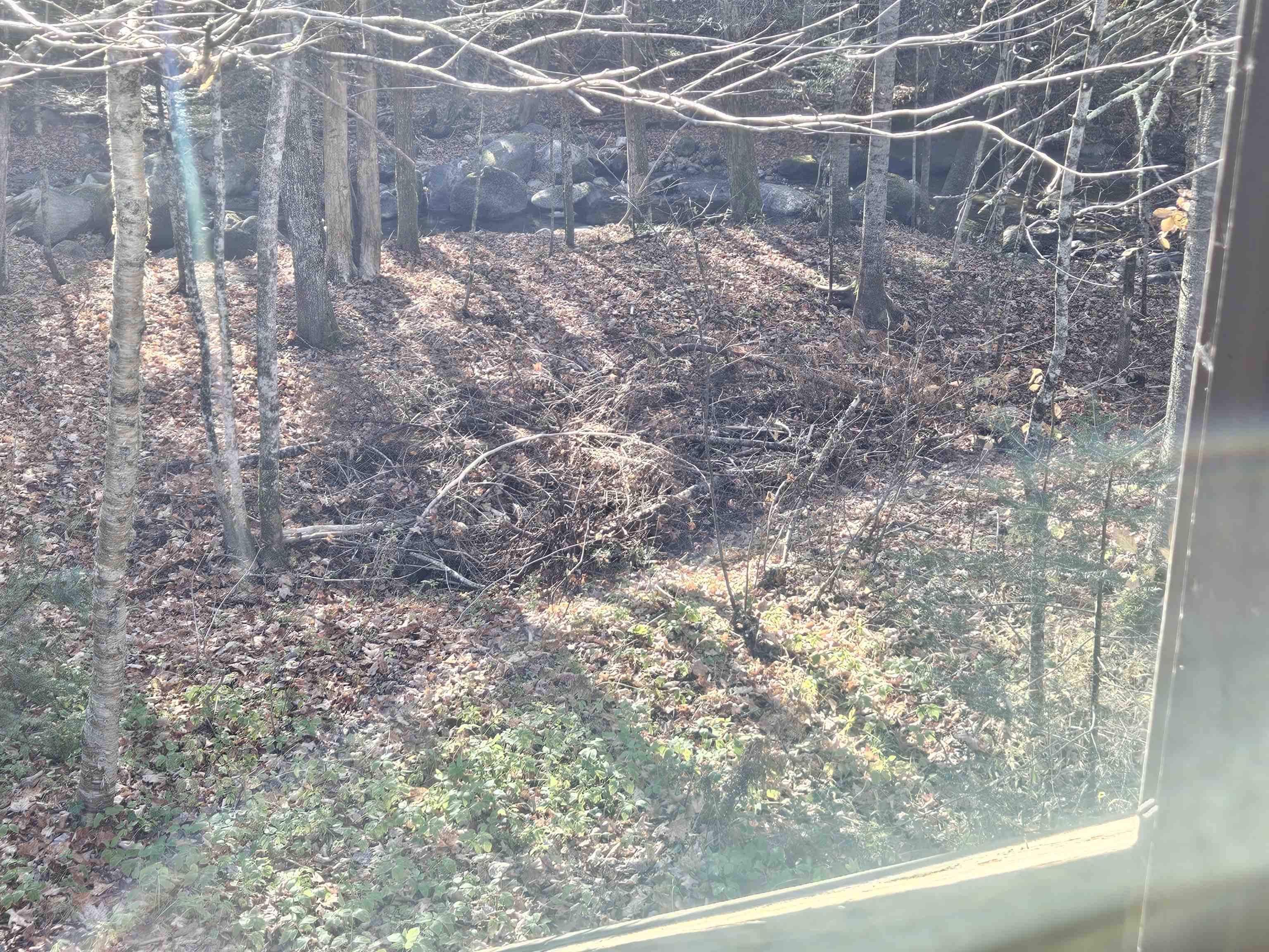 1500 Brook Road Property Photo 6