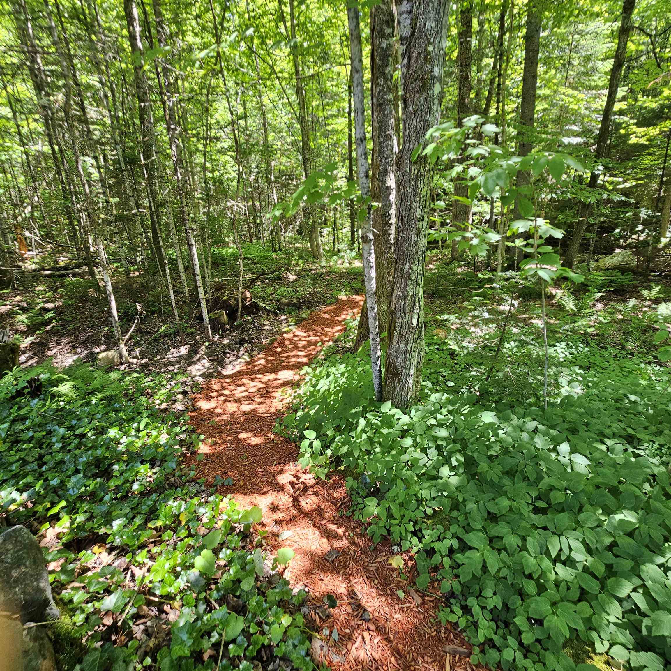 1500 Brook Road Property Photo 28