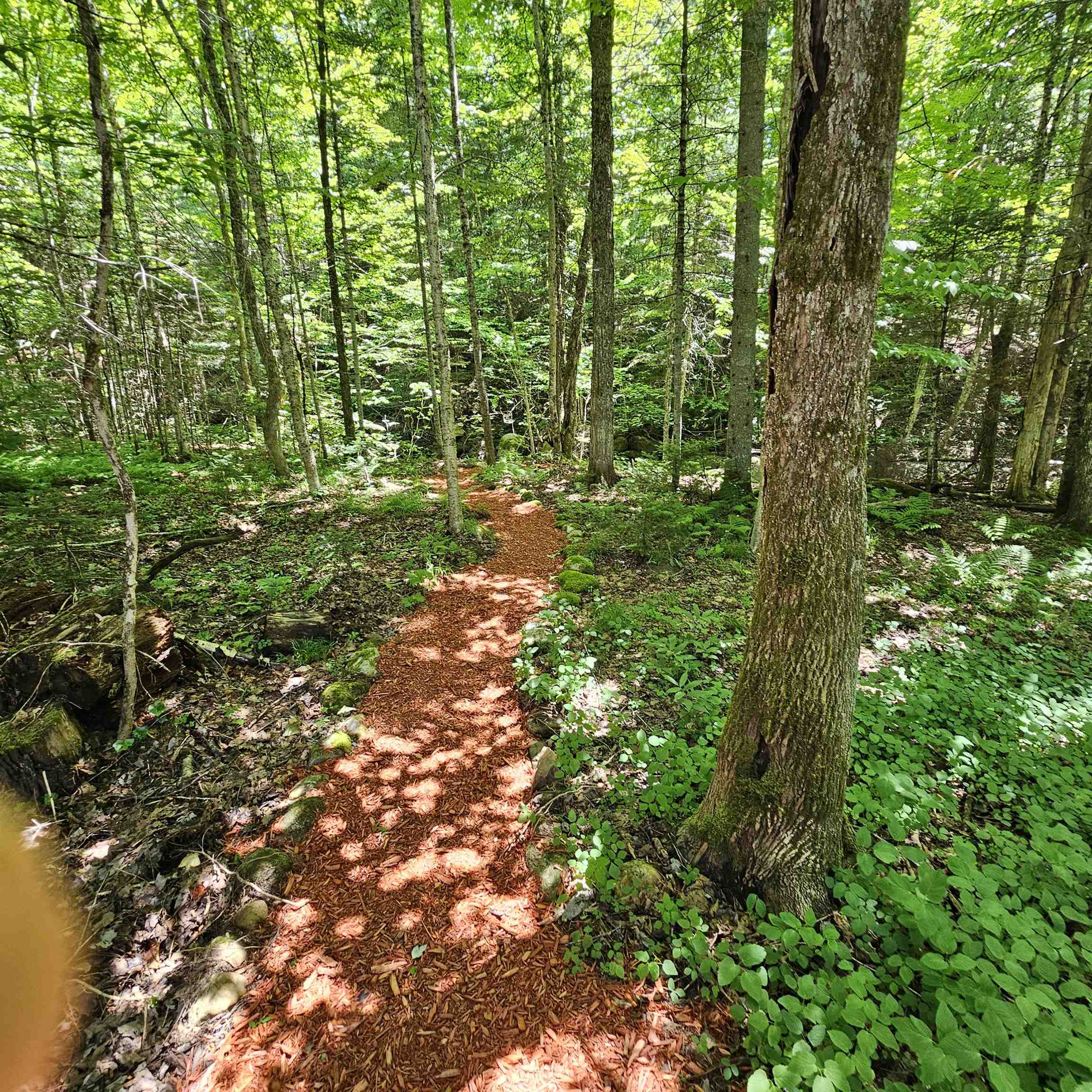 1500 Brook Road Property Photo 29