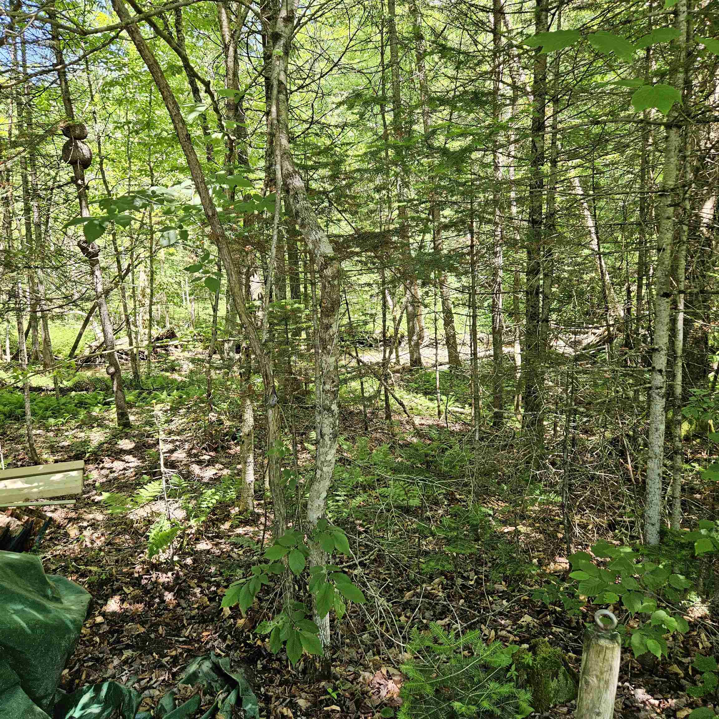 1500 Brook Road Property Photo 34