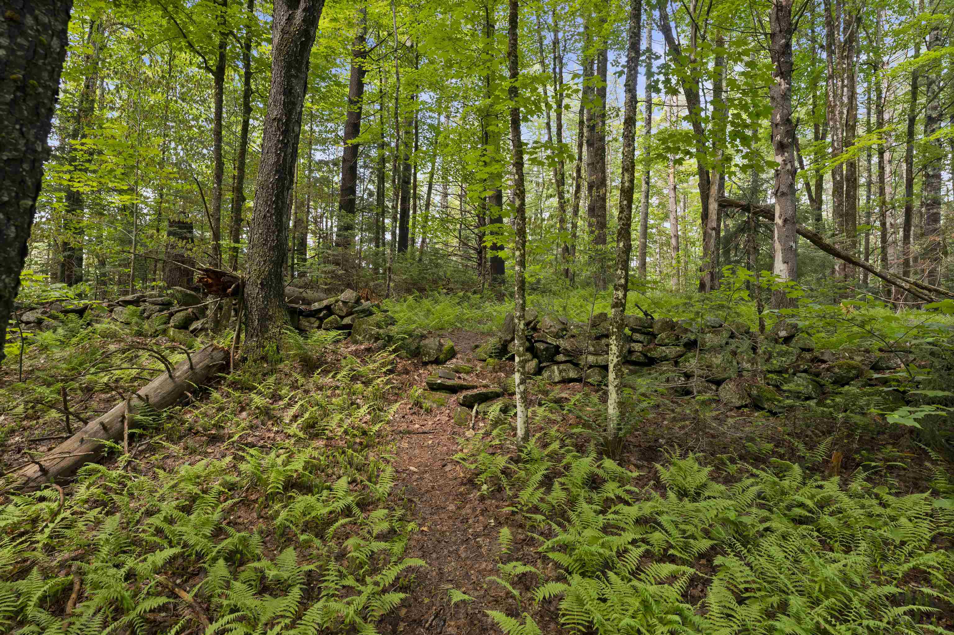 11 Old County Road Property Photo 8