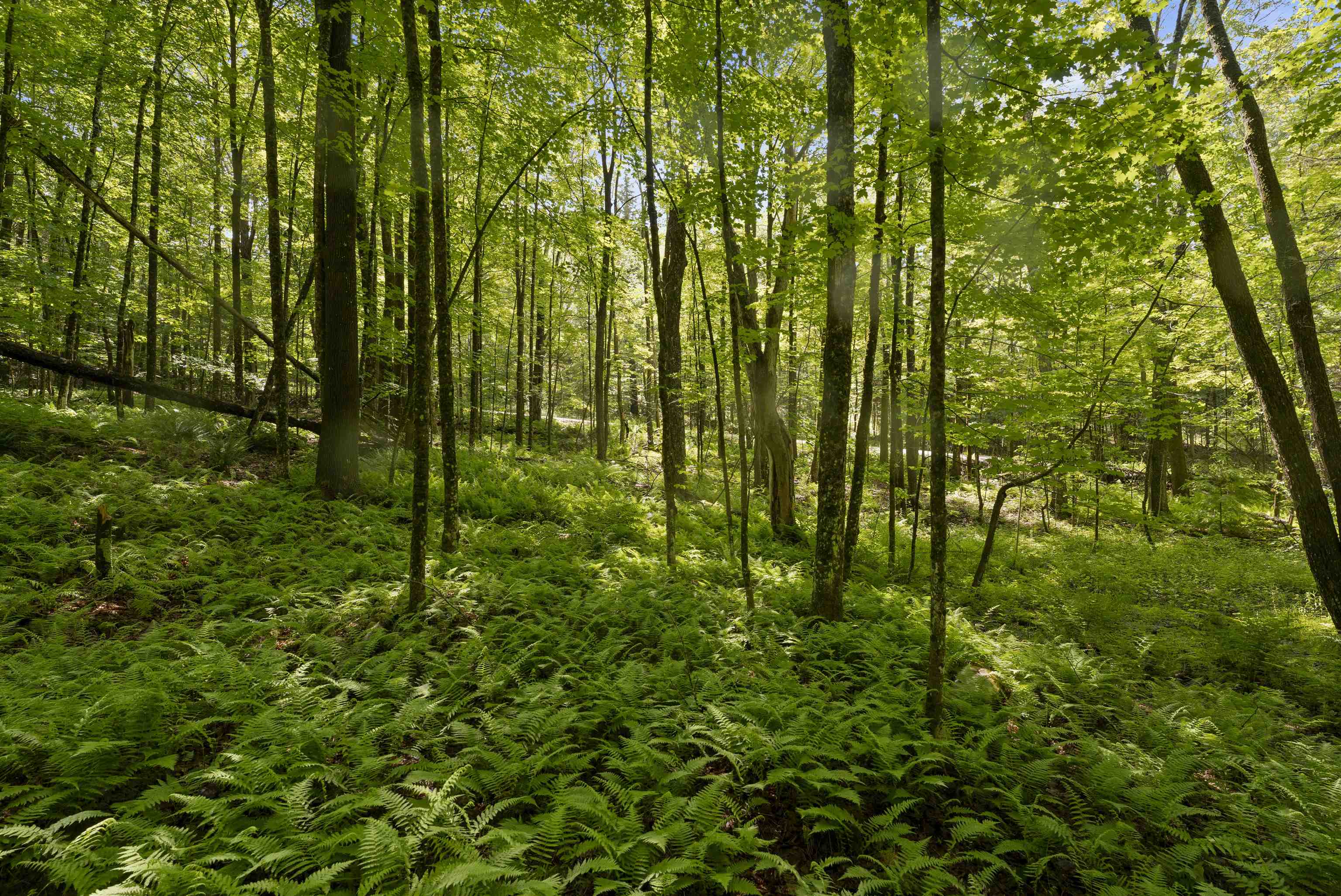 11 Old County Road Property Photo 10