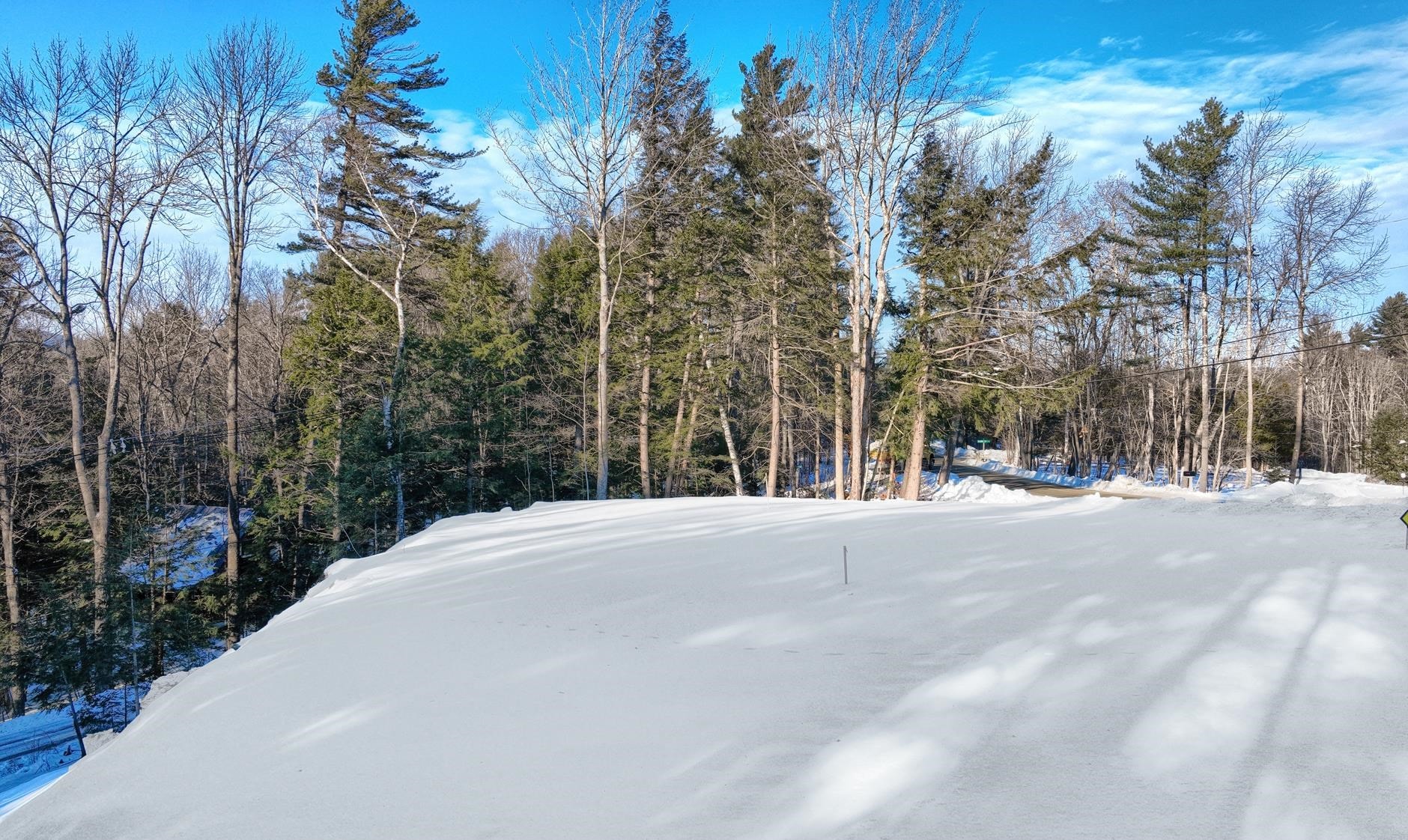 228 Town Farm Road Property Photo 8