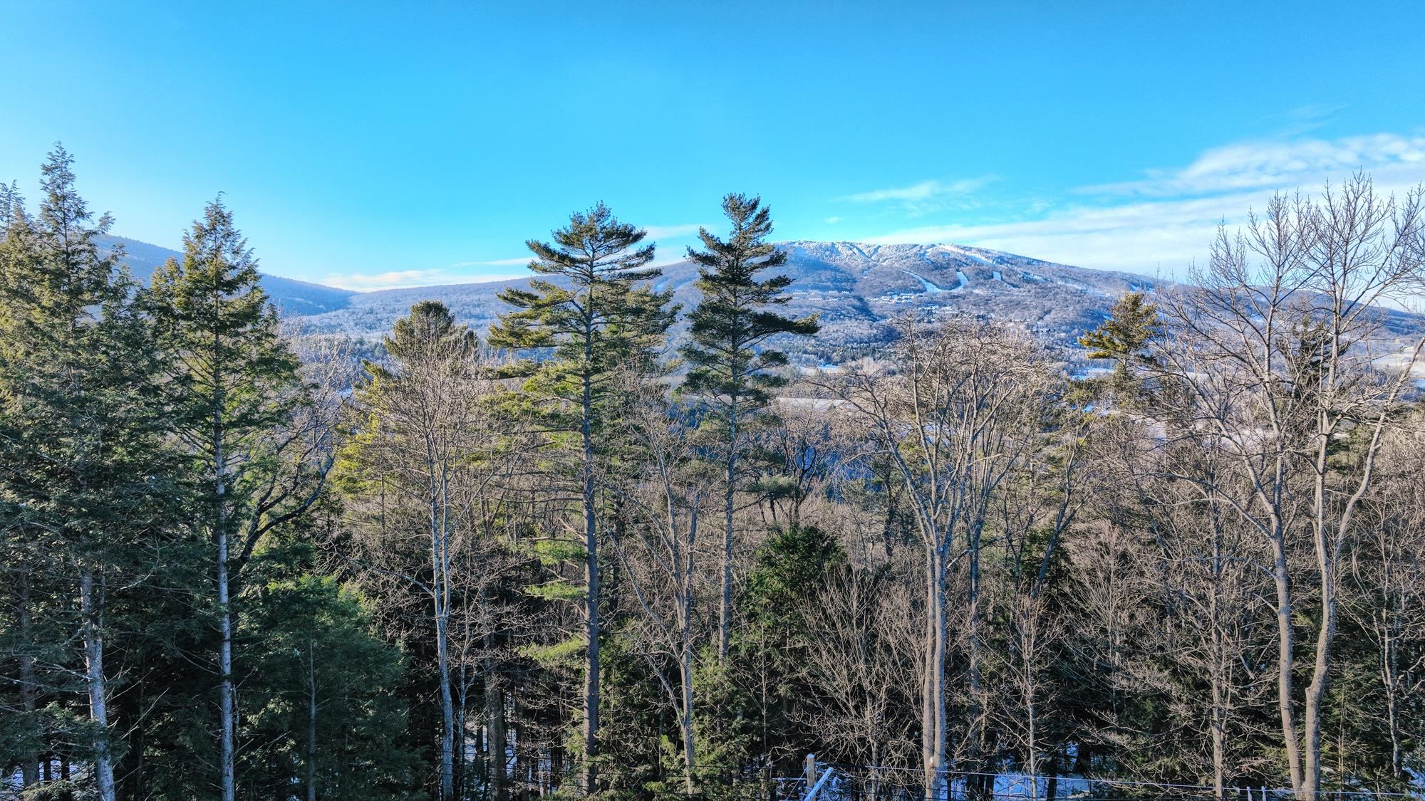 228 Town Farm Road Property Photo 11