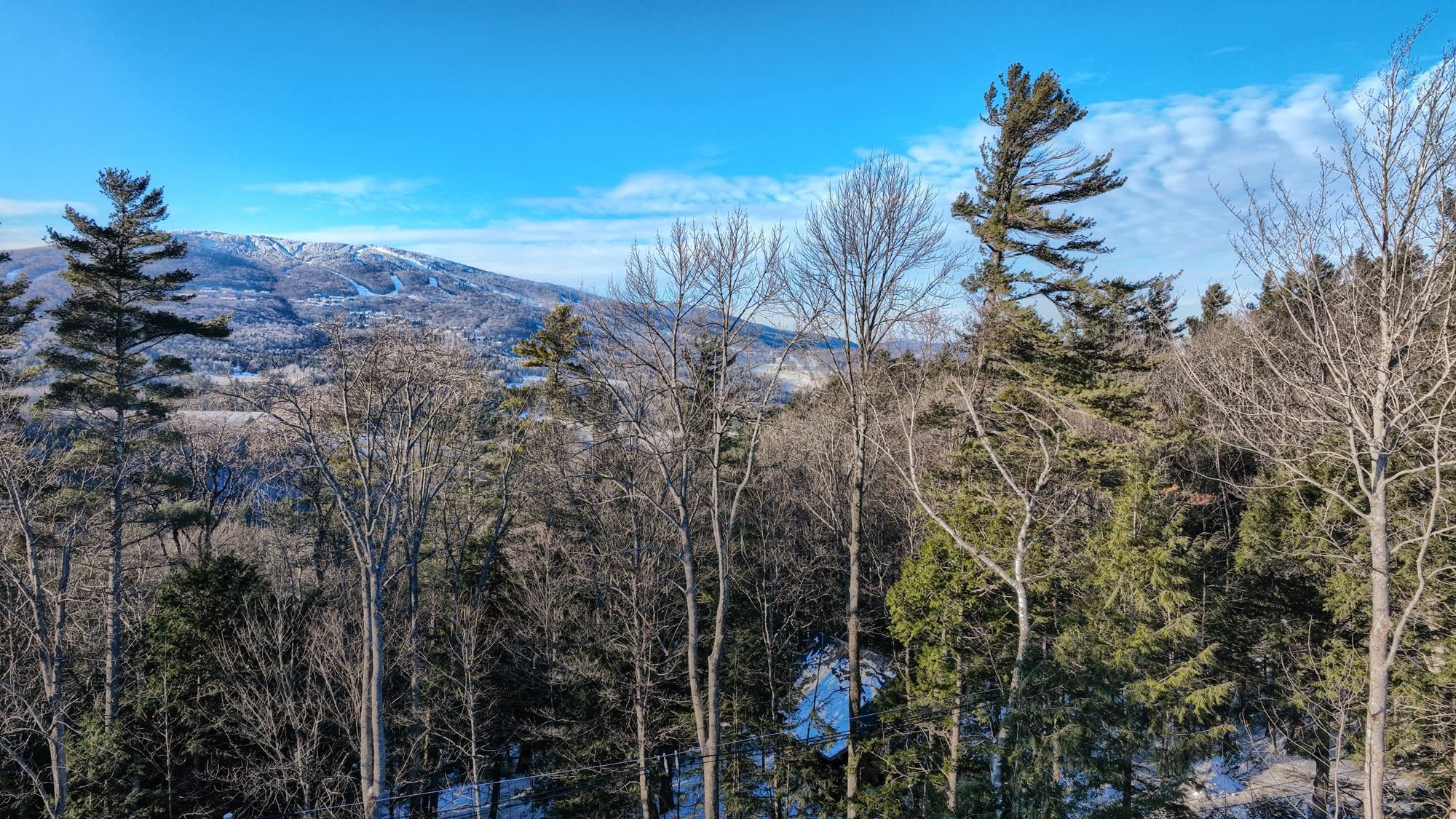 228 Town Farm Road Property Photo 12