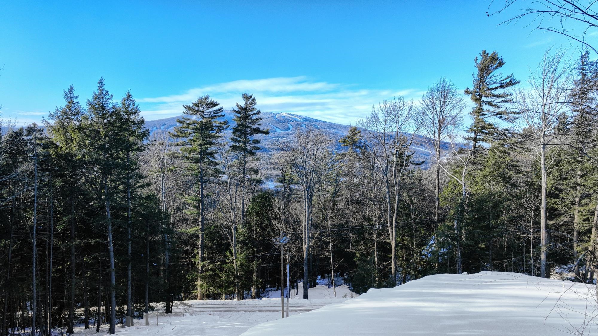 228 Town Farm Road Property Photo 13