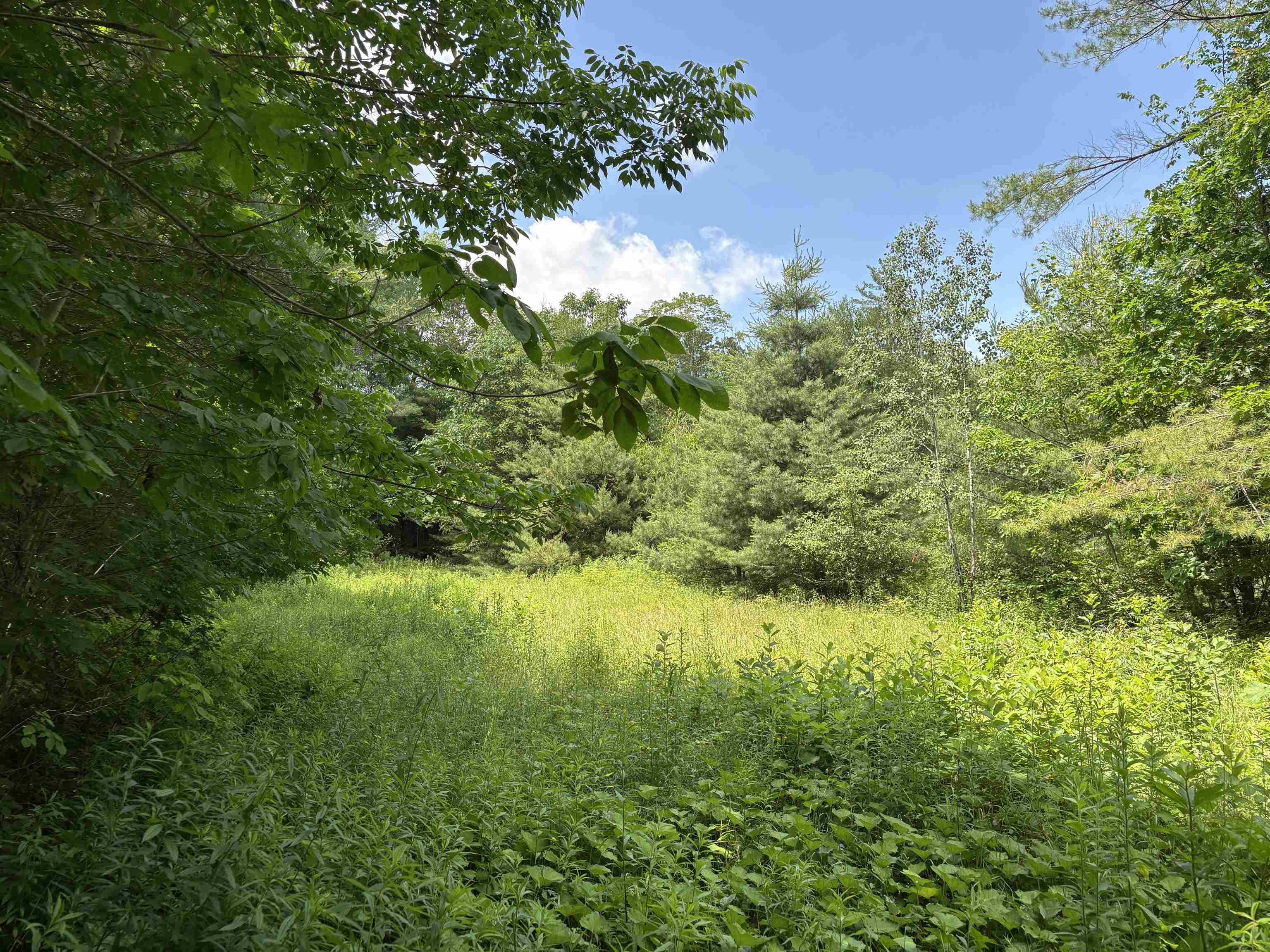 00 Simonsville Road Property Photo 1