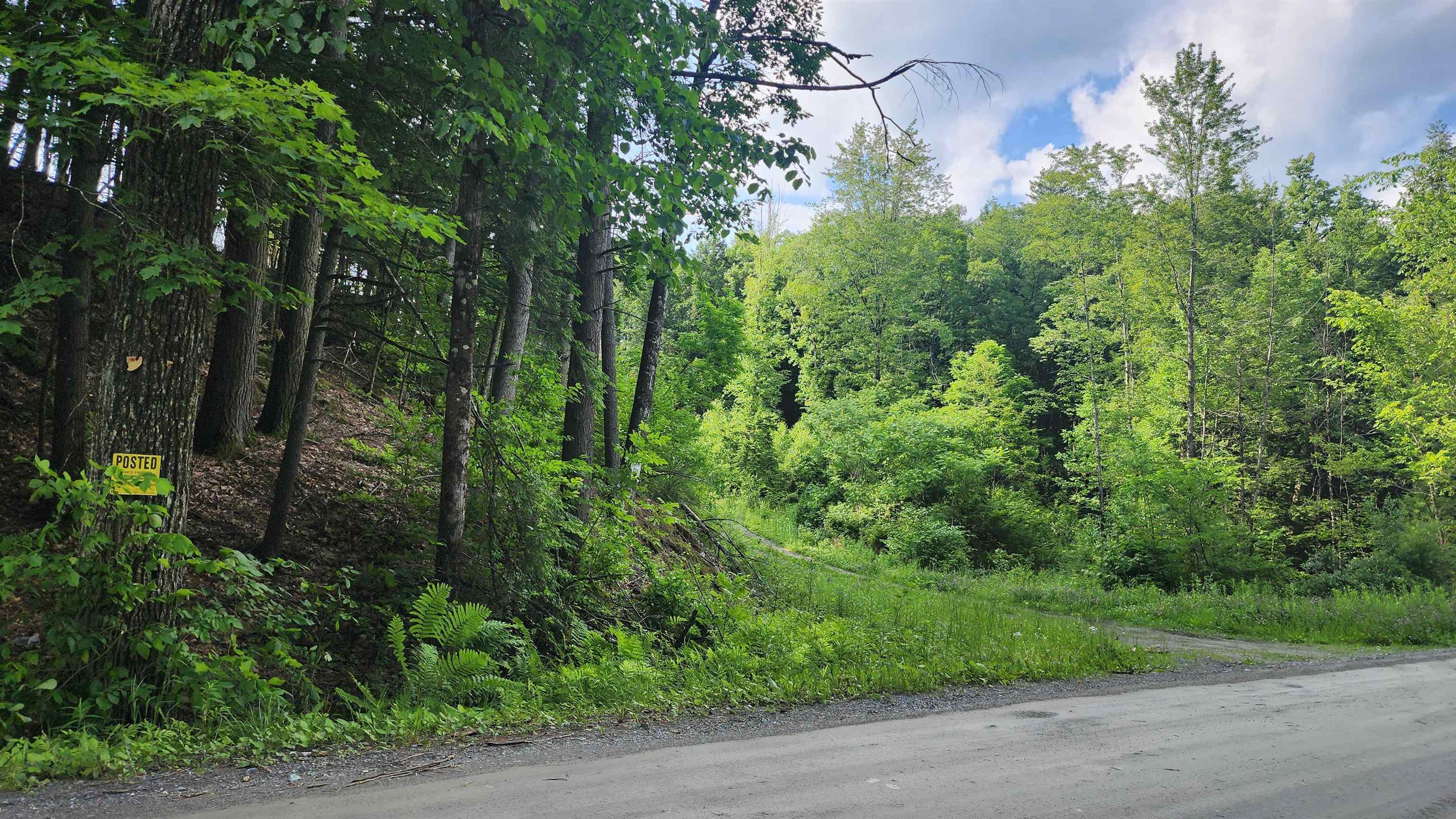 0 Spencer Hollow Road Property Photo 4