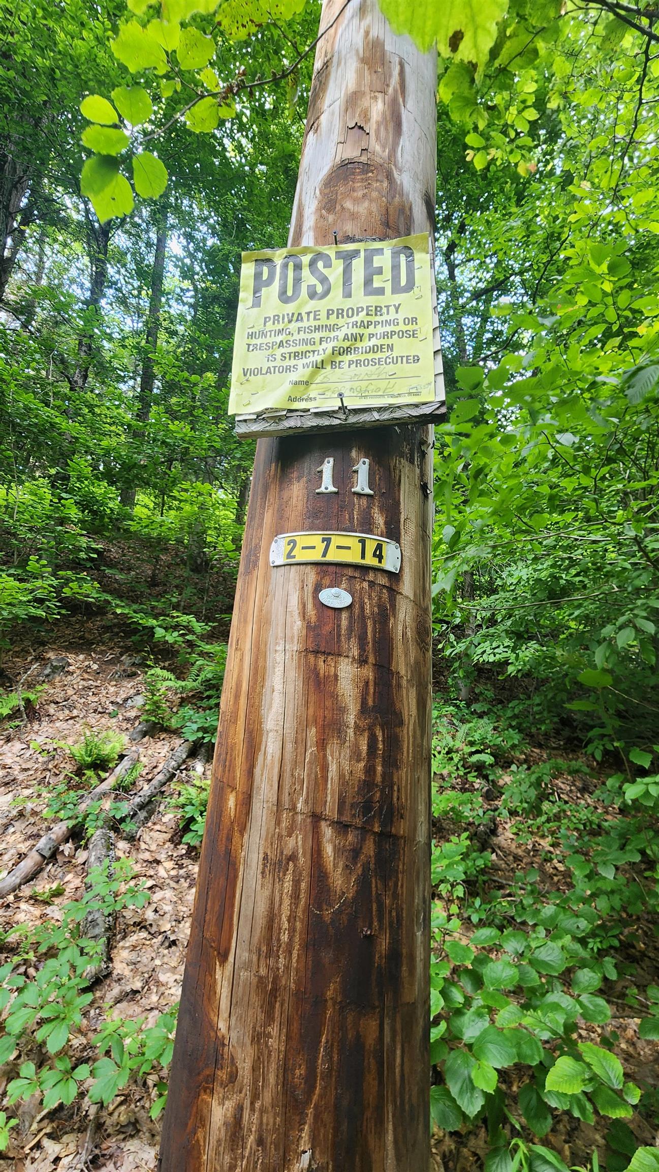 0 Spencer Hollow Road Property Photo 7