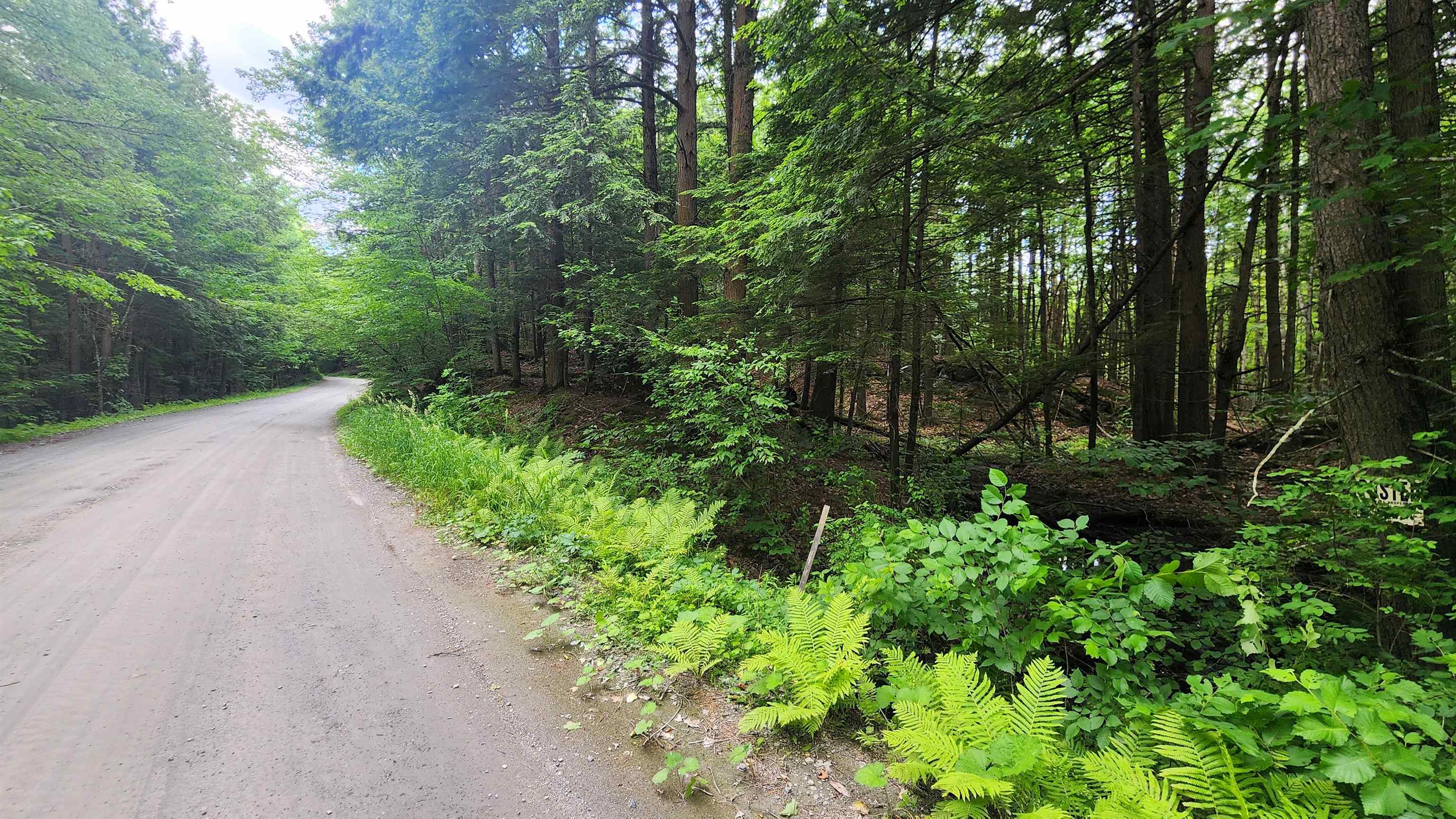 0 Spencer Hollow Road Property Photo 8