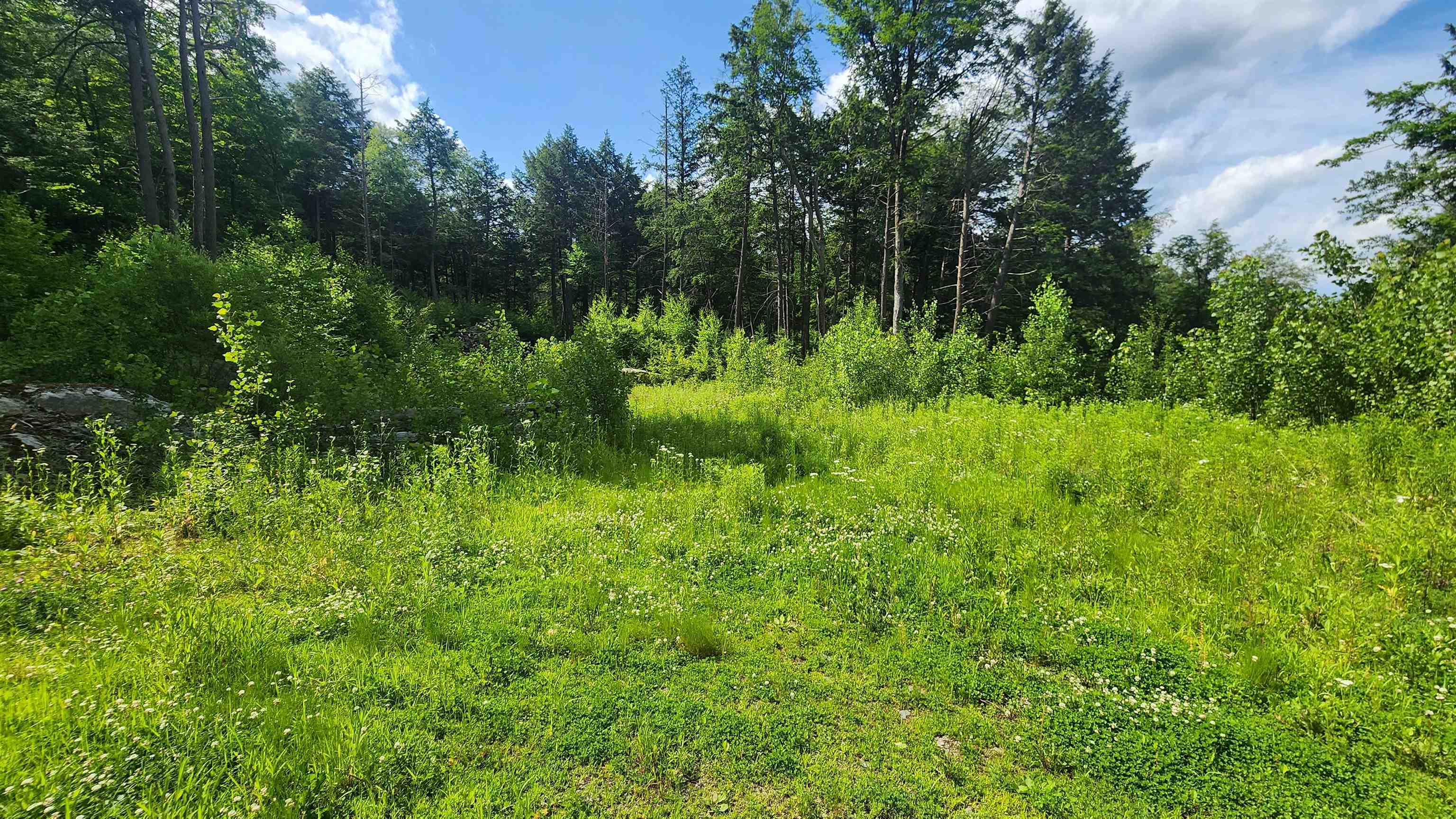 0 Spencer Hollow Road Property Photo 12