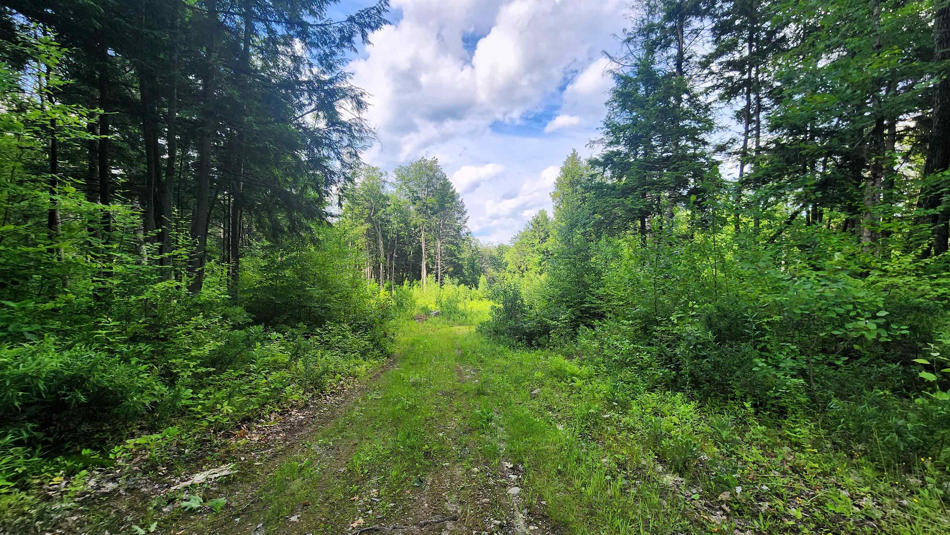 0 Spencer Hollow Road Property Photo 13