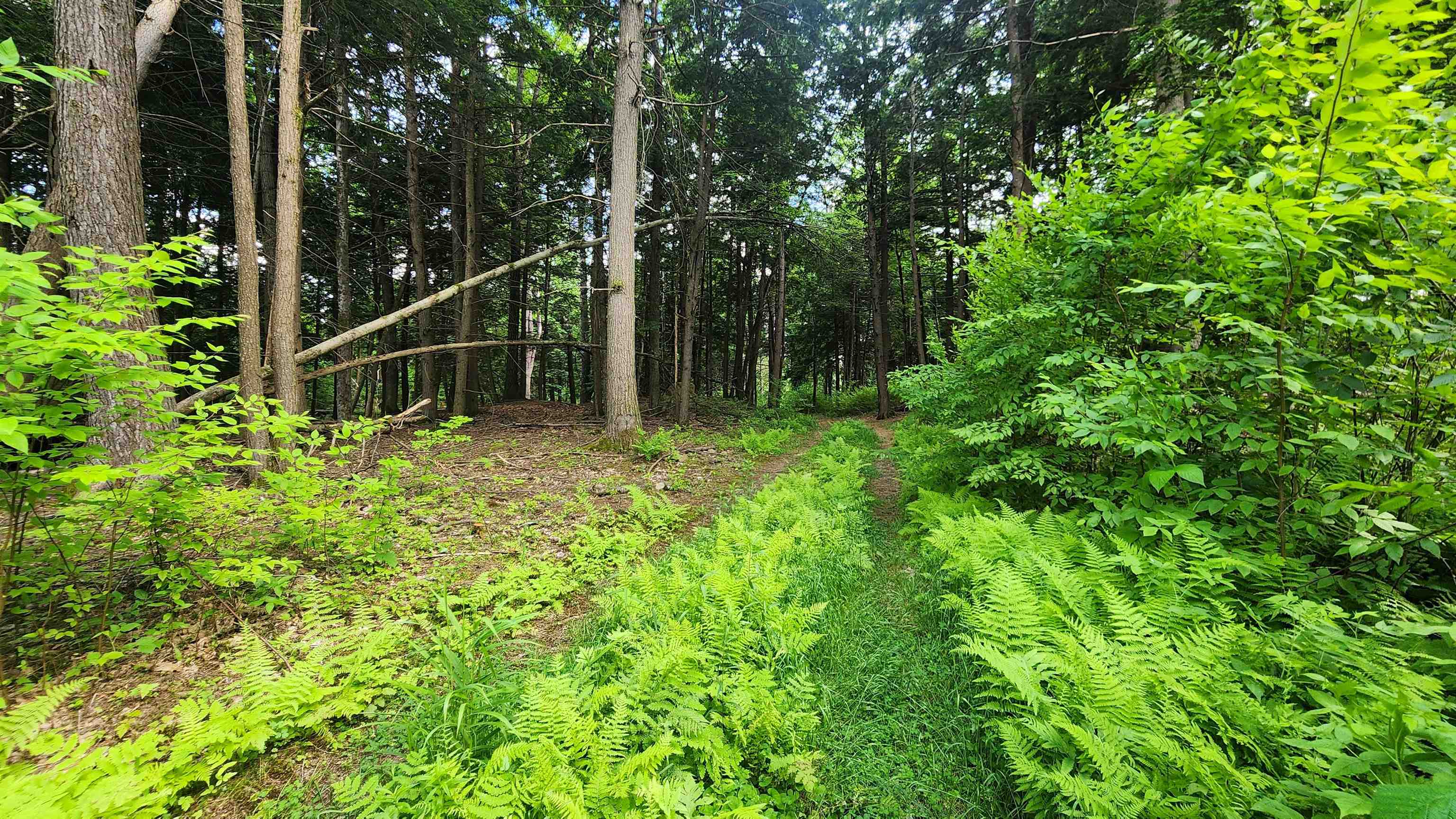0 Spencer Hollow Road Property Photo 14