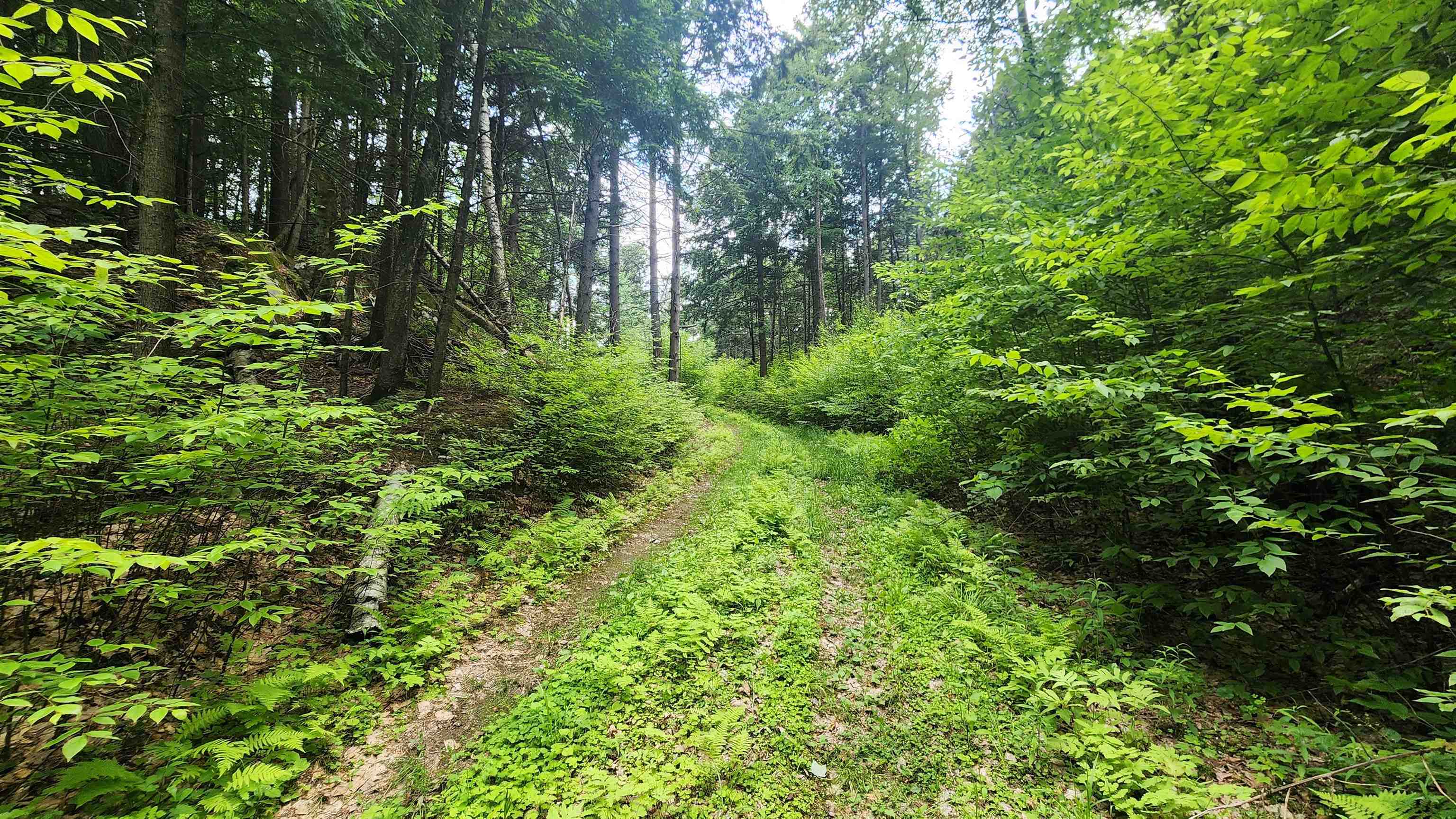 0 Spencer Hollow Road Property Photo 17