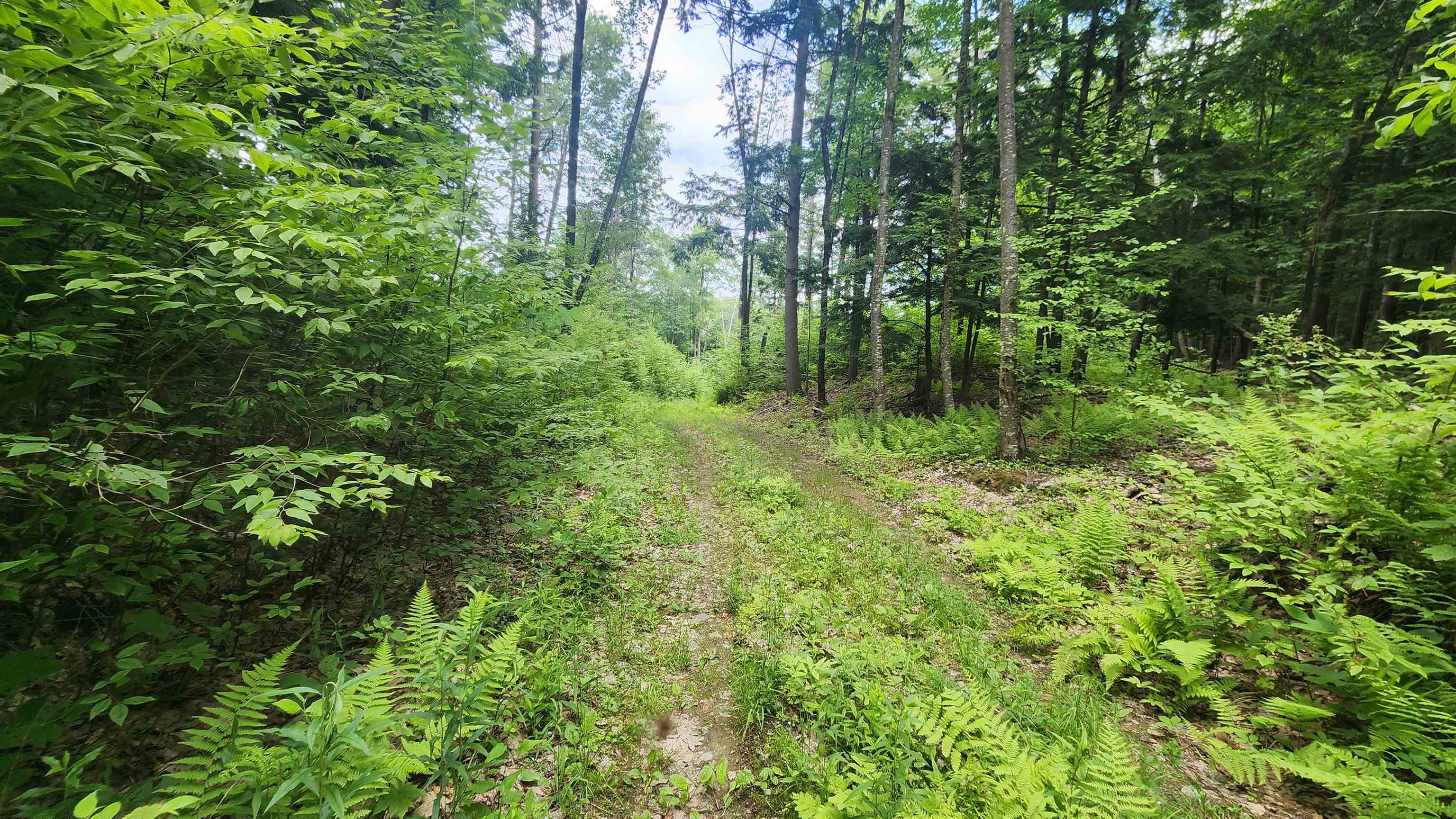 0 Spencer Hollow Road Property Photo 18