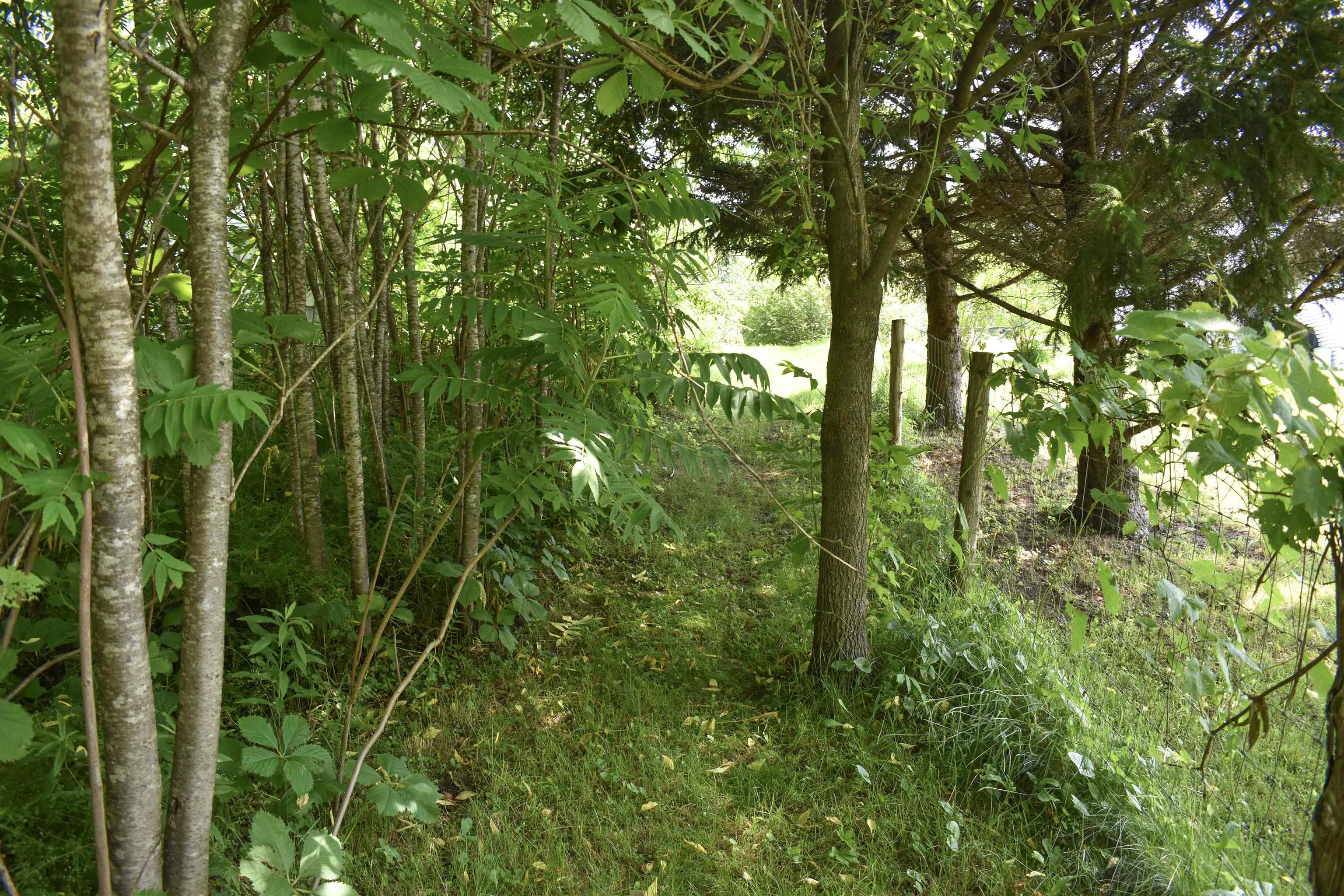 71 Maple Street Property Photo 5