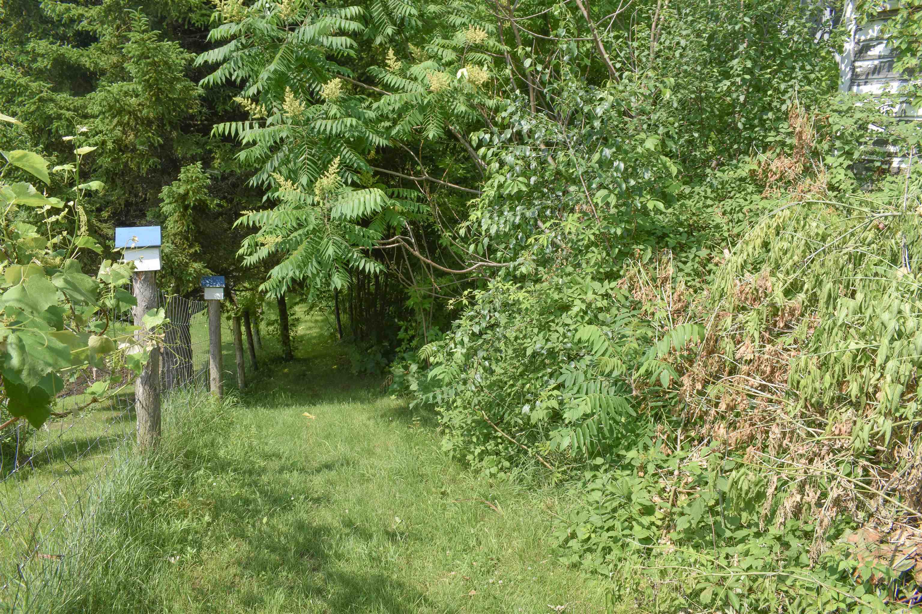 71 Maple Street Property Photo 6