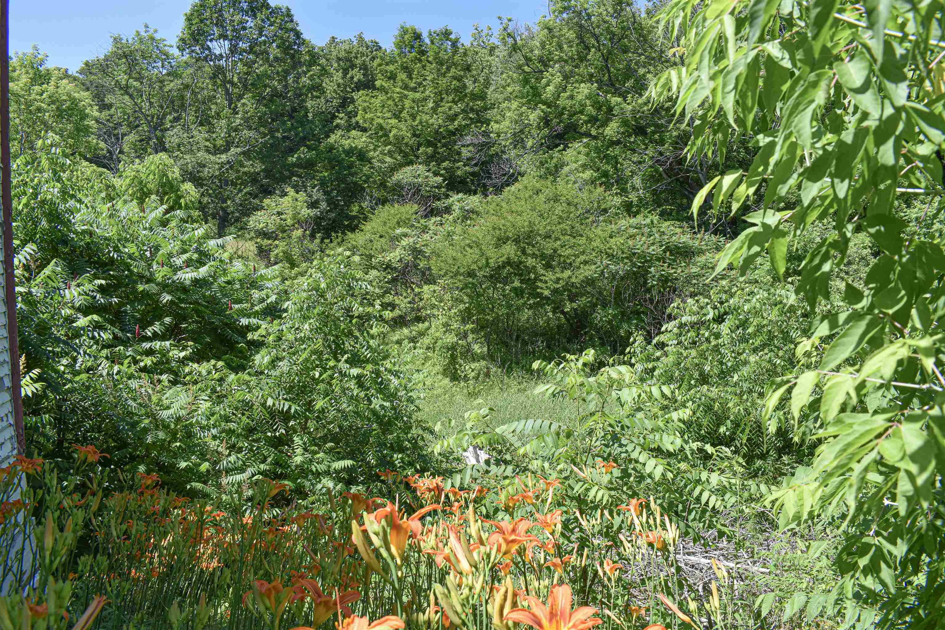 71 Maple Street Property Photo 15