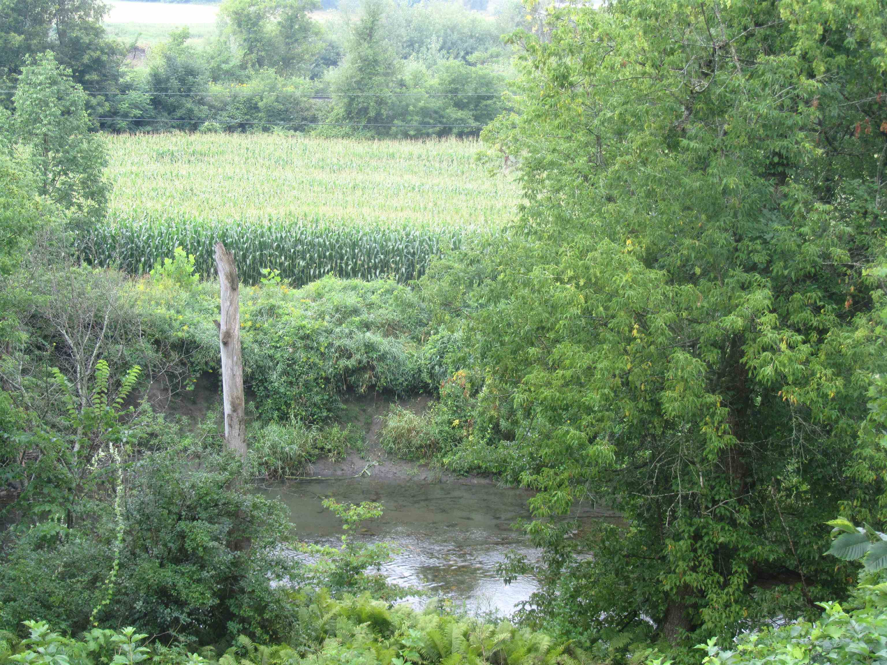 5863 Vt Route 14 Property Photo 5