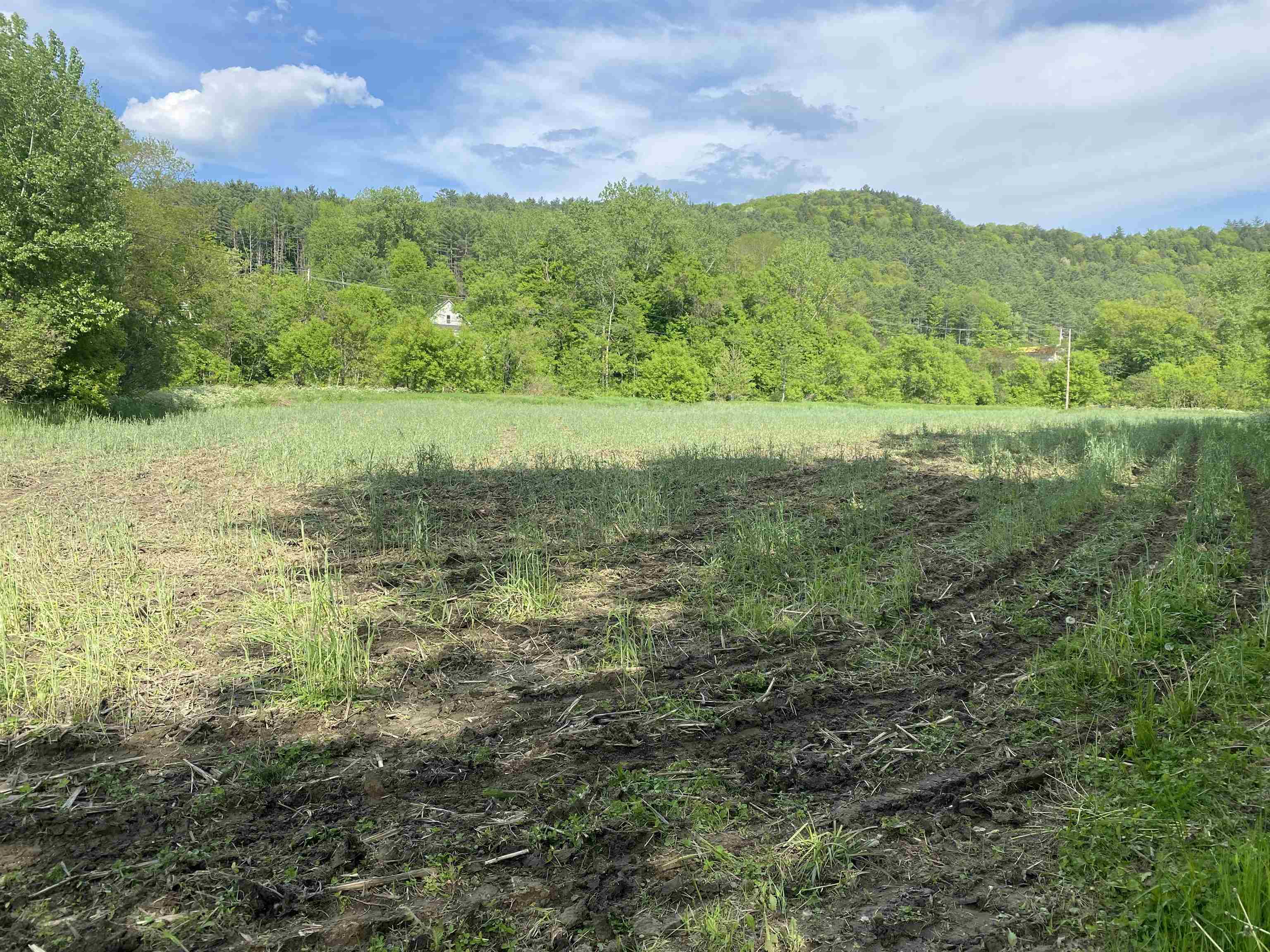 5863 Vt Route 14 Property Photo 45