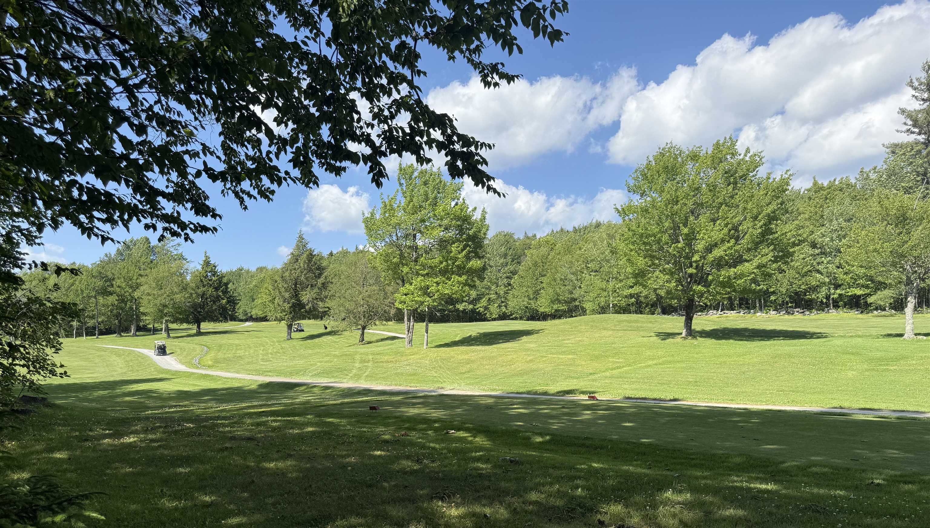 100 Mowing Way Property Photo 27