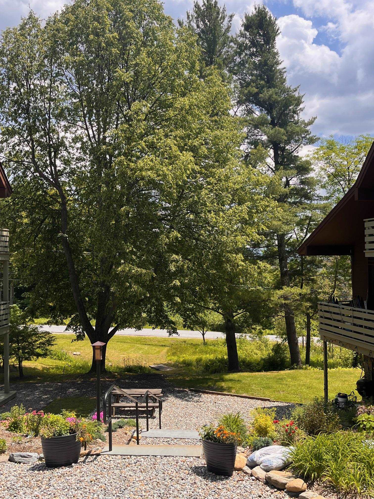 401 Village Road Property Photo 3