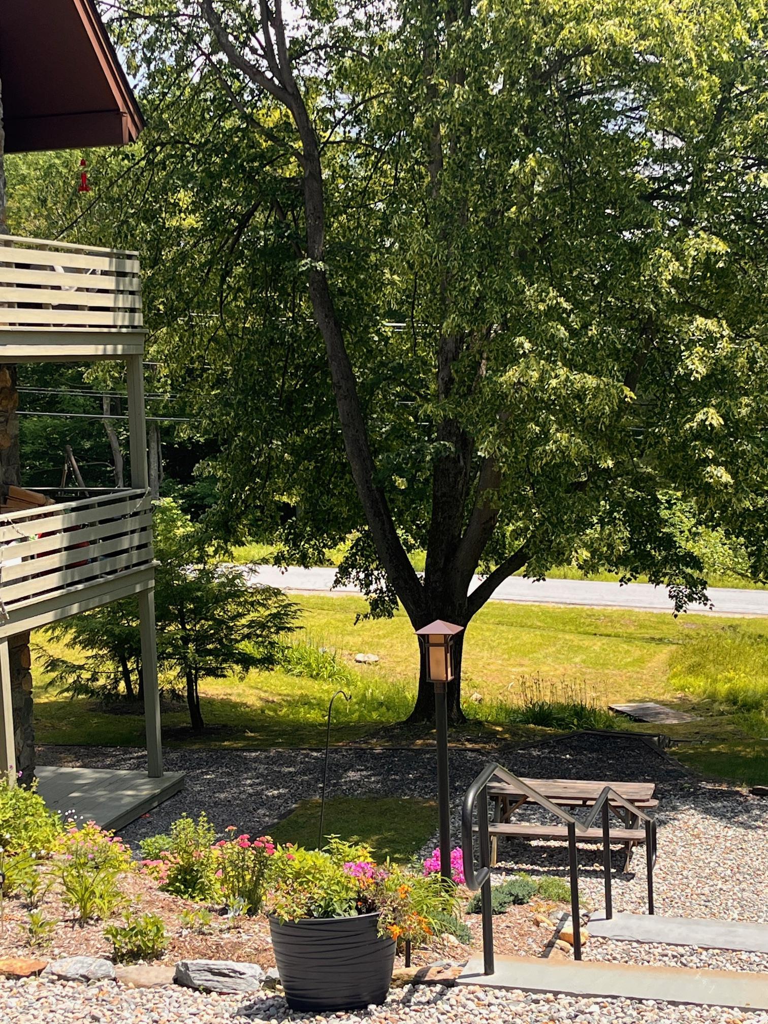 401 Village Road Property Photo 36