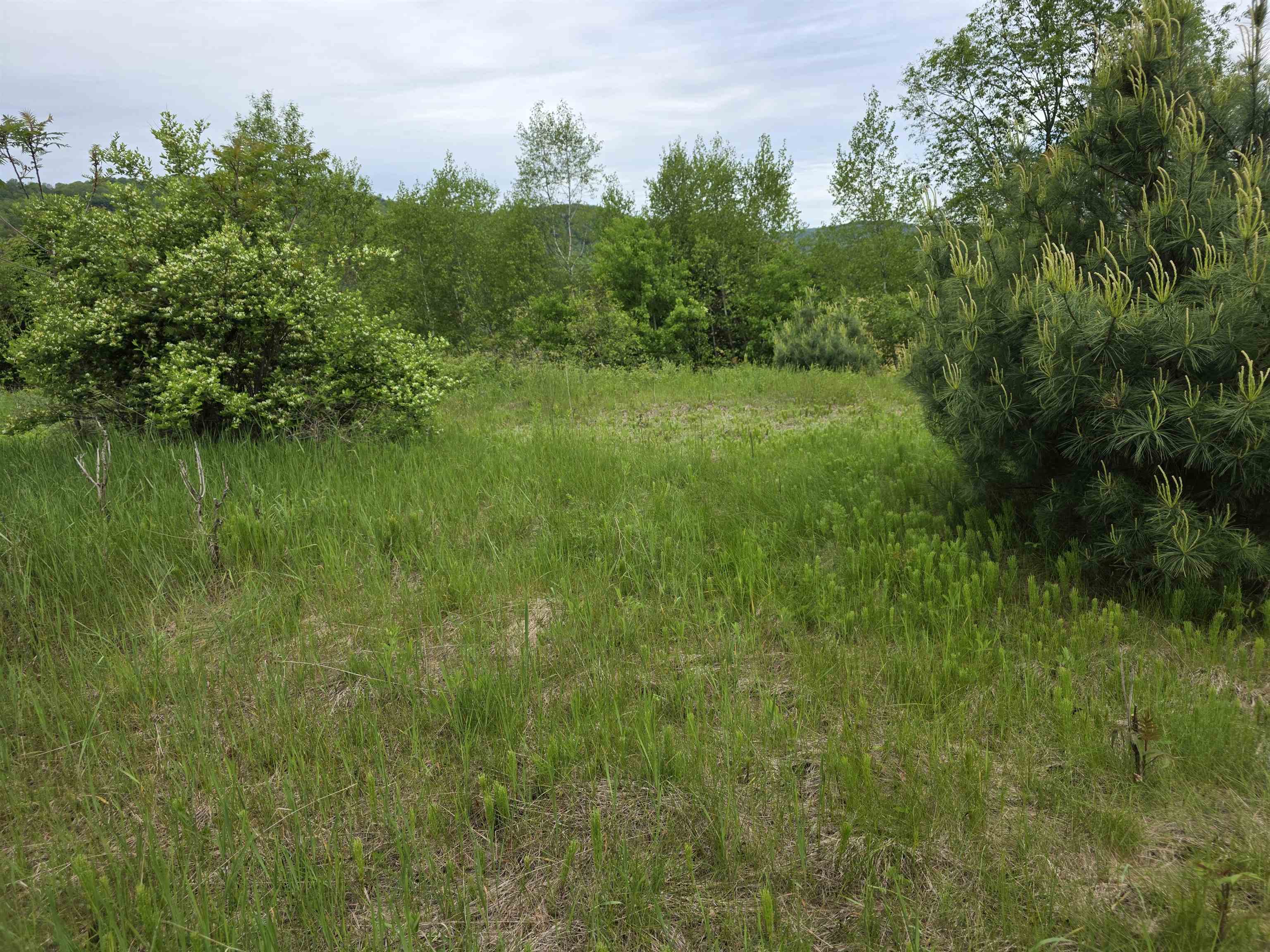 Vt Route 14 South Property Photo 5