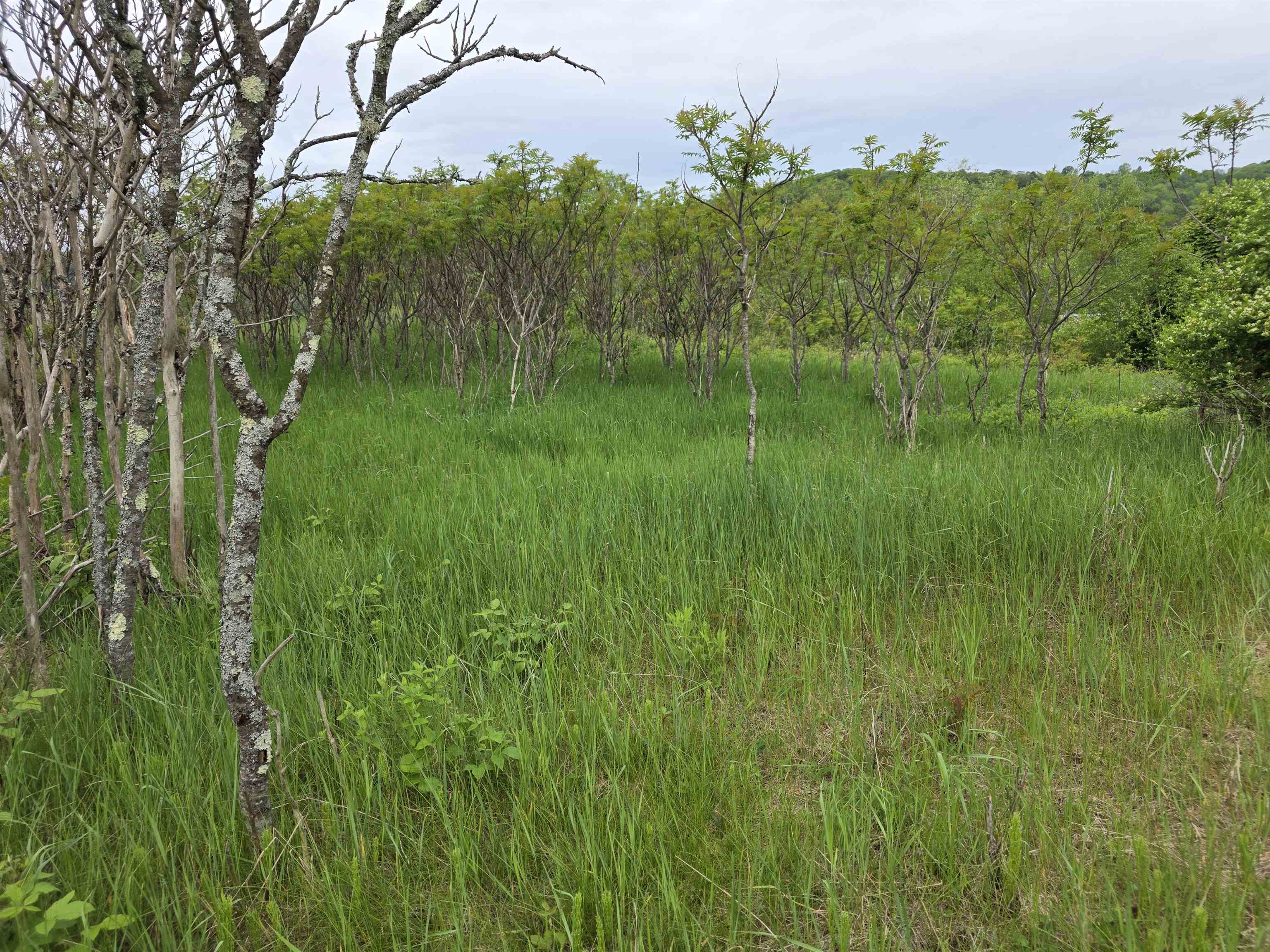 Vt Route 14 South Property Photo 6