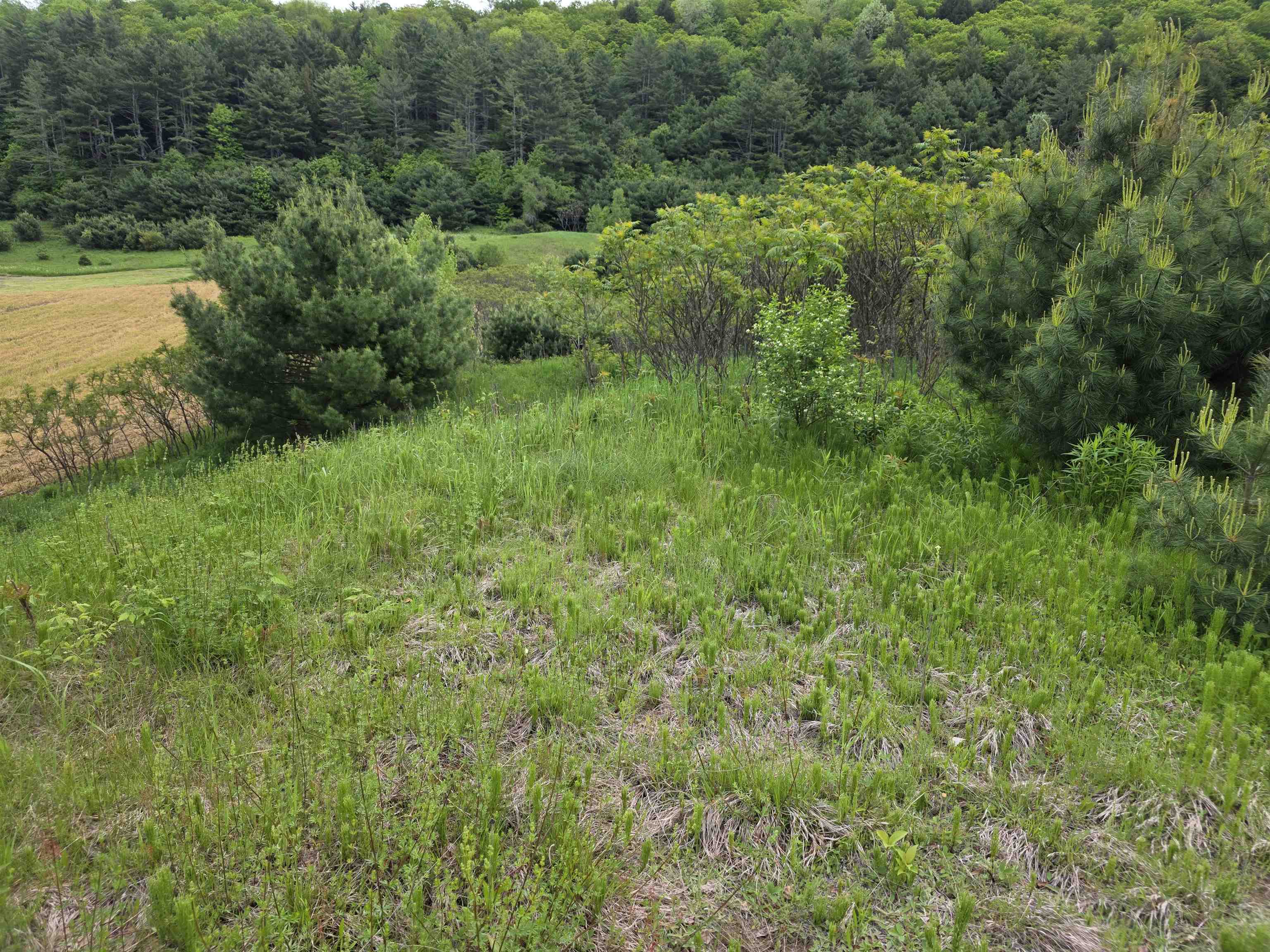 Vt Route 14 South Property Photo 7