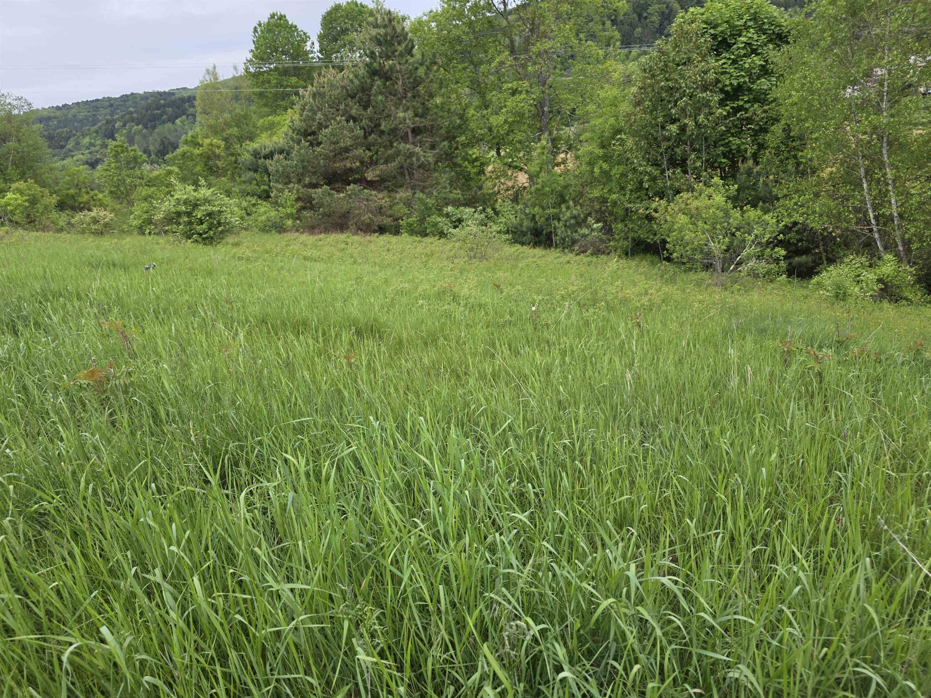 Vt Route 14 South Property Photo 8