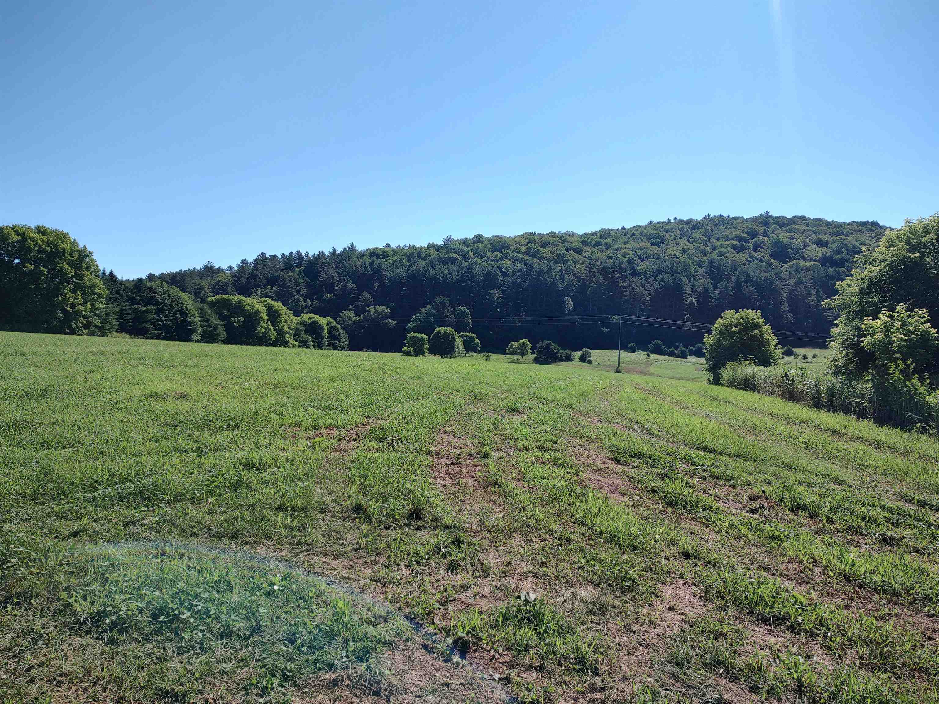 Vt Route 14 South Property Photo 10