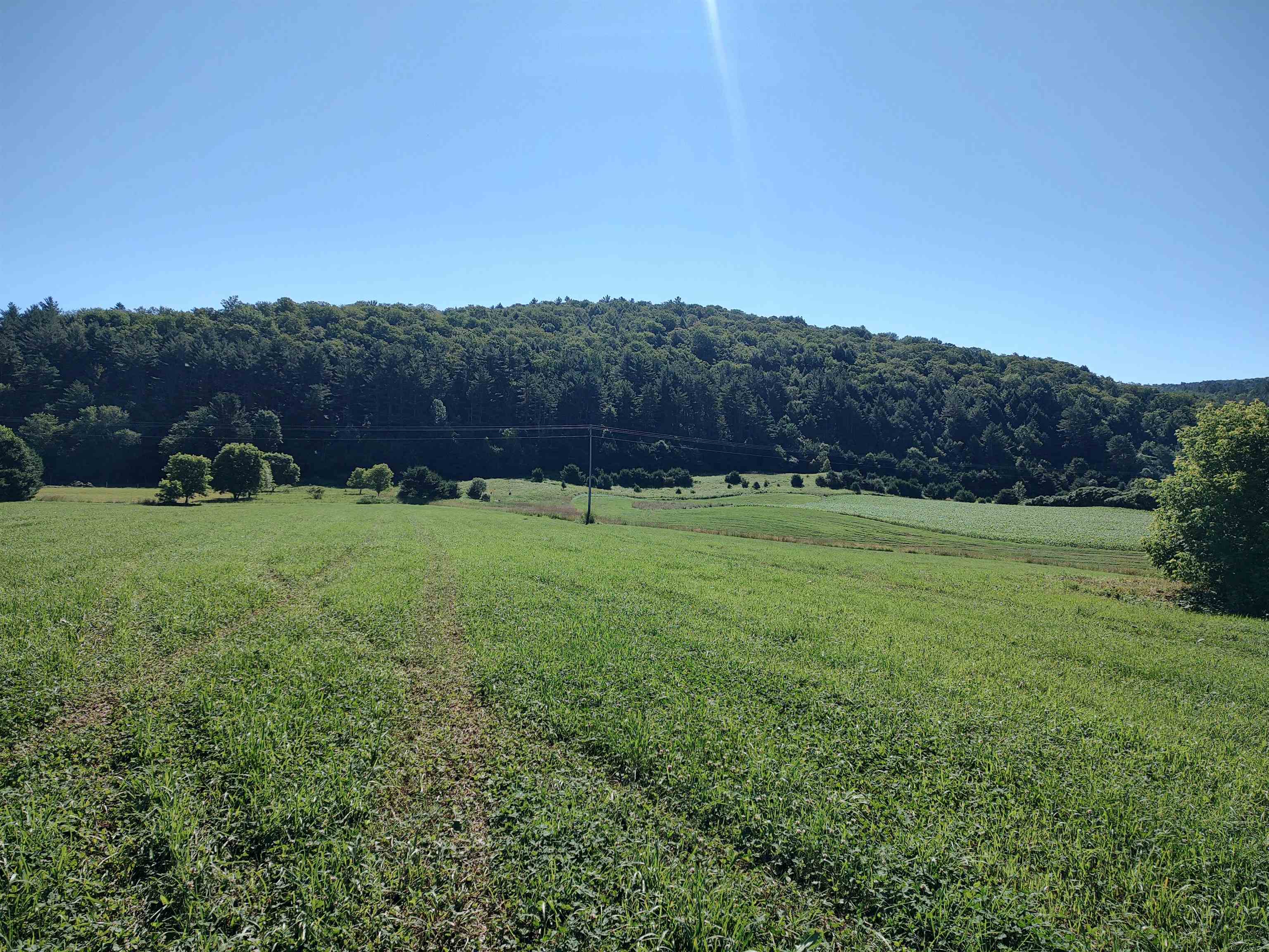 Vt Route 14 South Property Photo 13