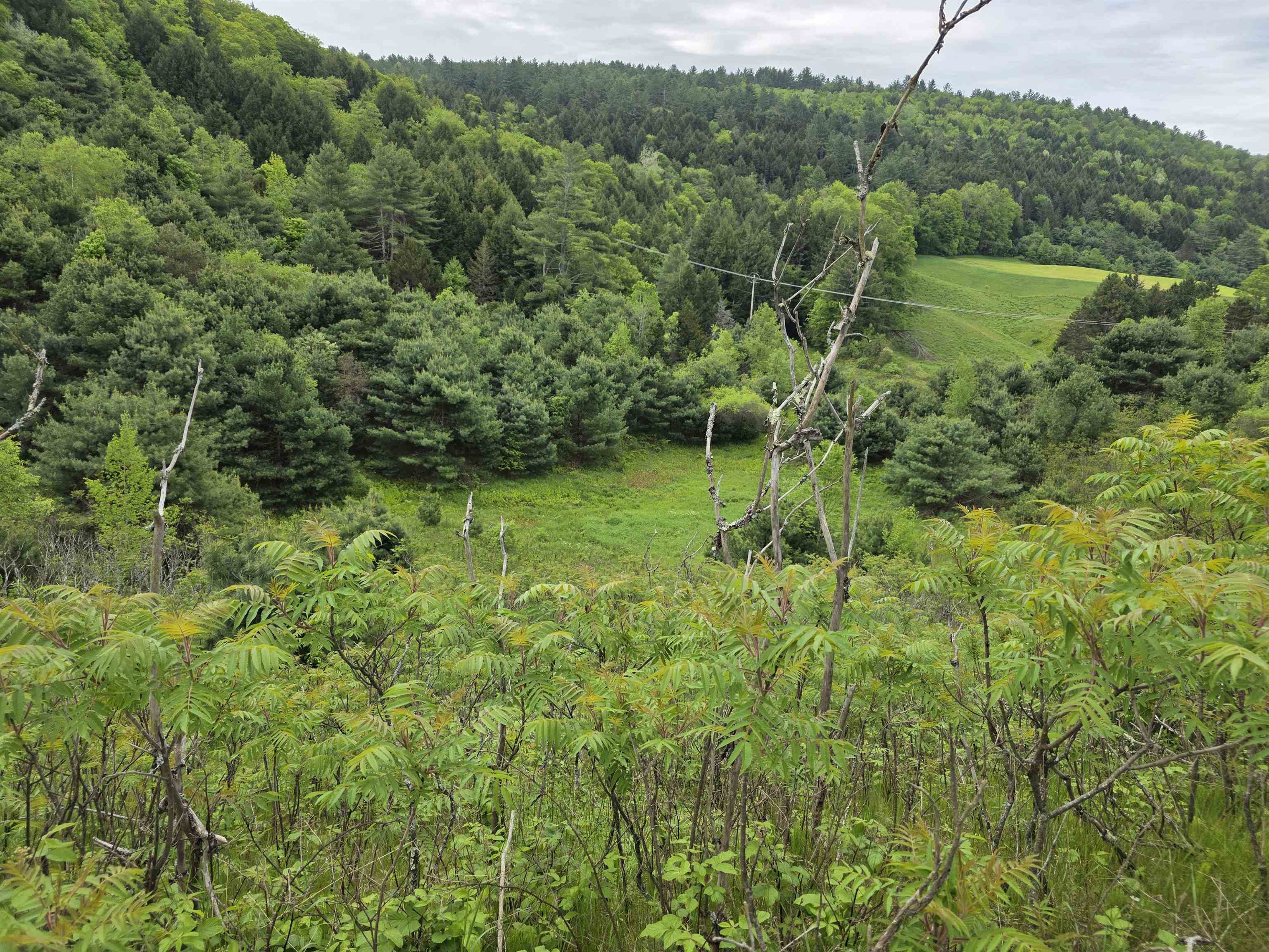 Vt Route 14 South Property Photo 15