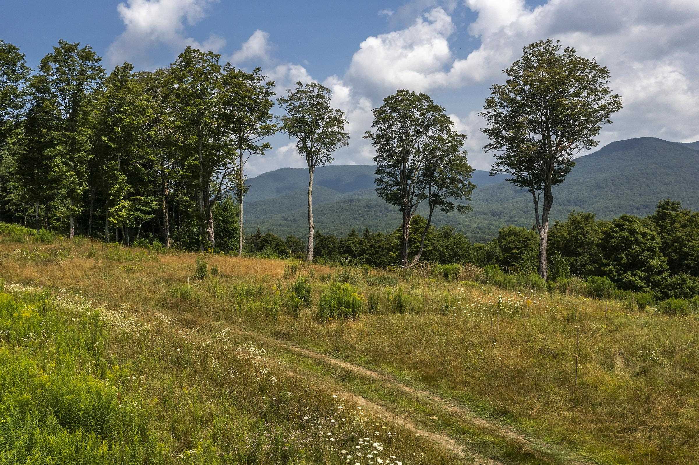 500 Nims Road Property Photo 2