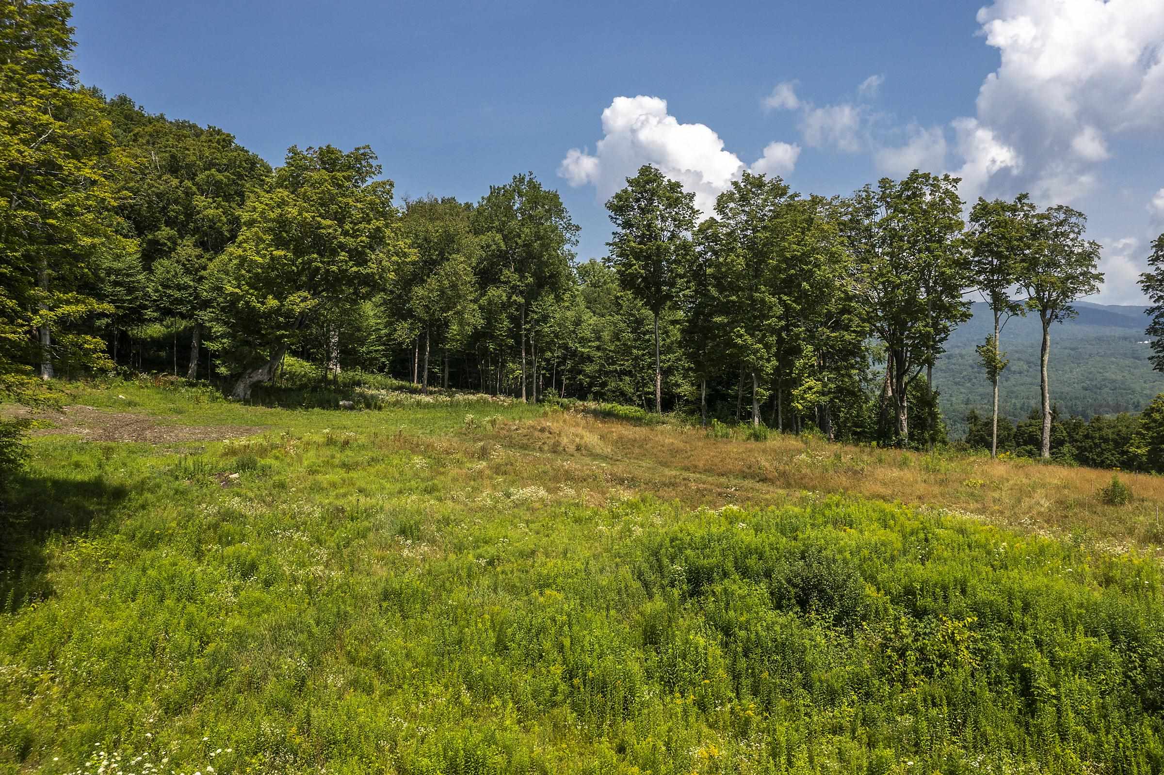 500 Nims Road Property Photo 11