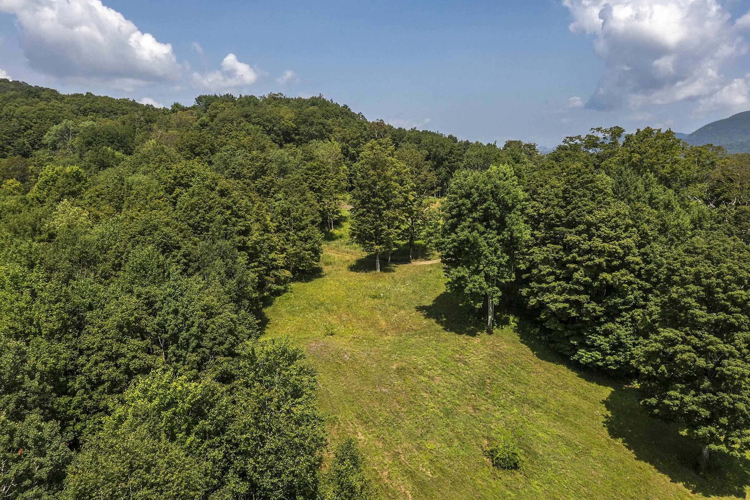 500 Nims Road Property Photo 13