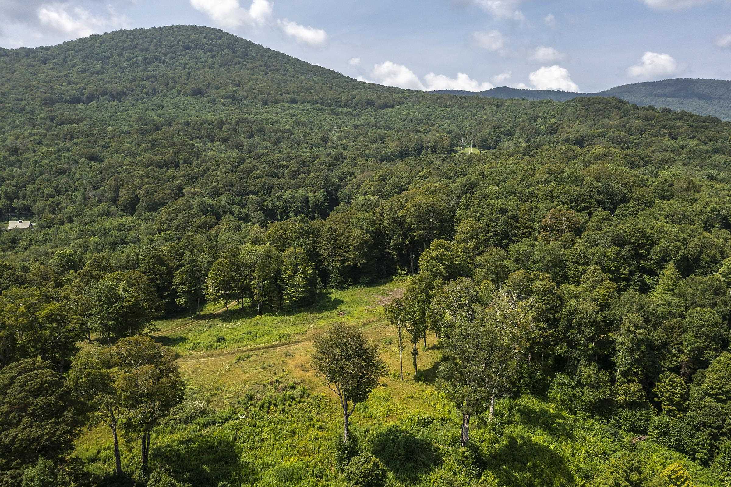 500 Nims Road Property Photo 15