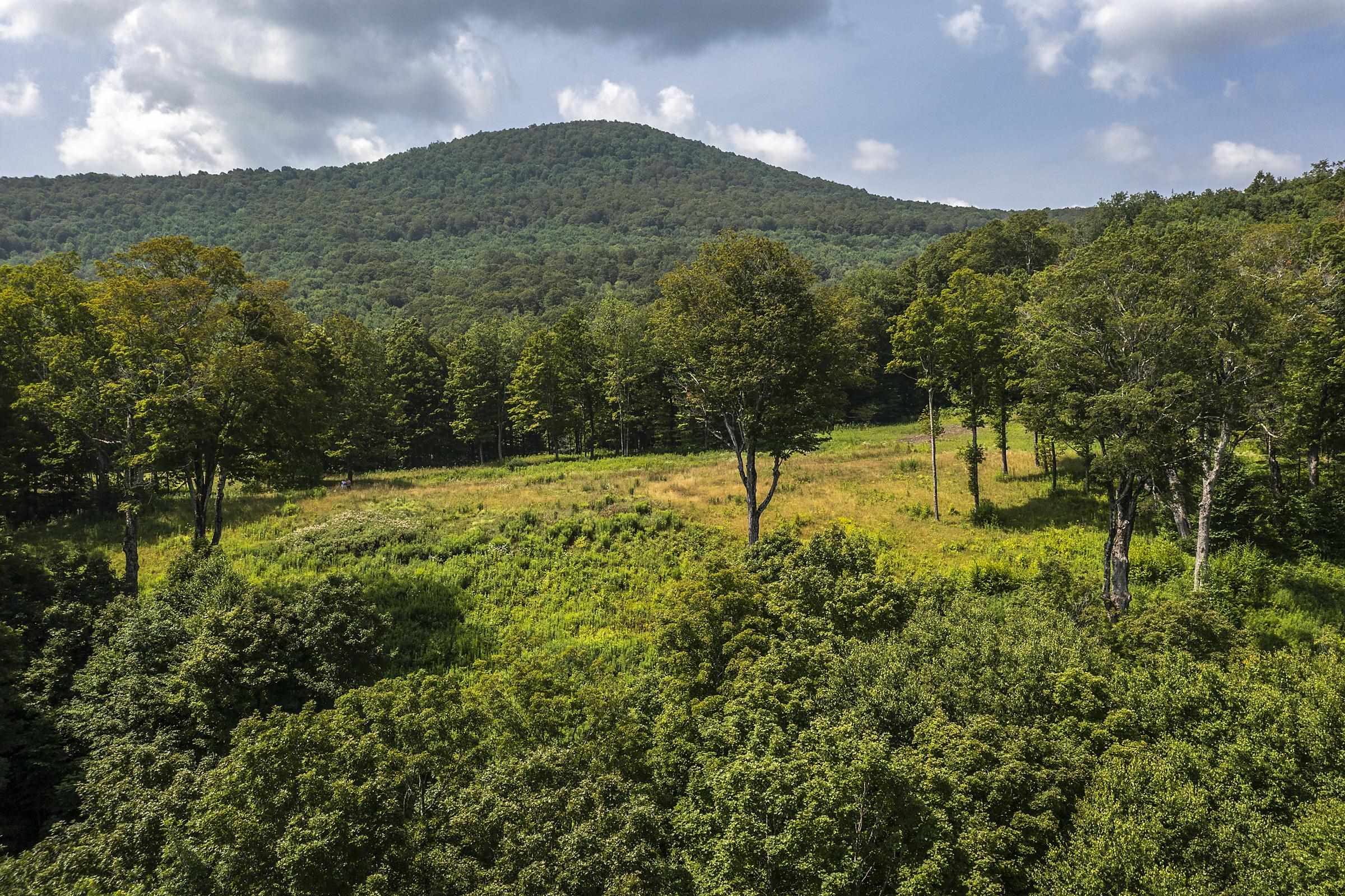 500 Nims Road Property Photo 16