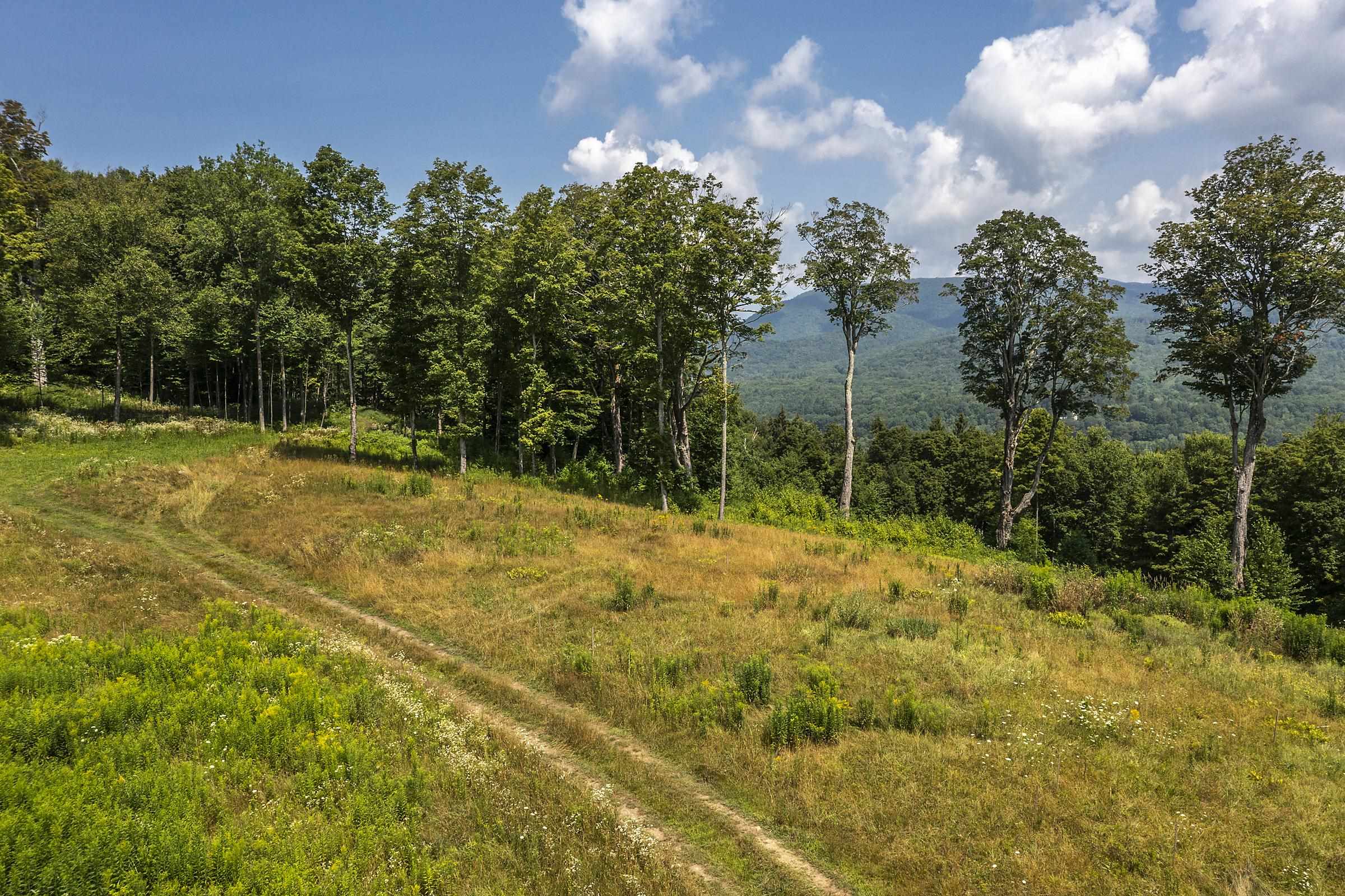 500 Nims Road Property Photo 17