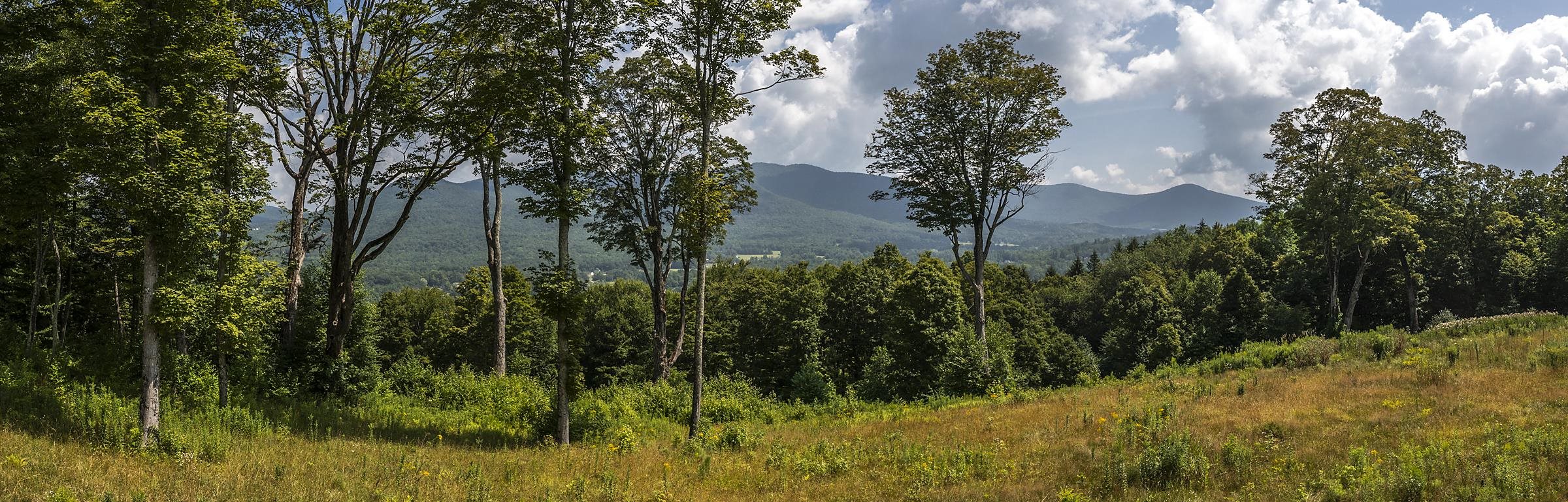 500 Nims Road Property Photo 19