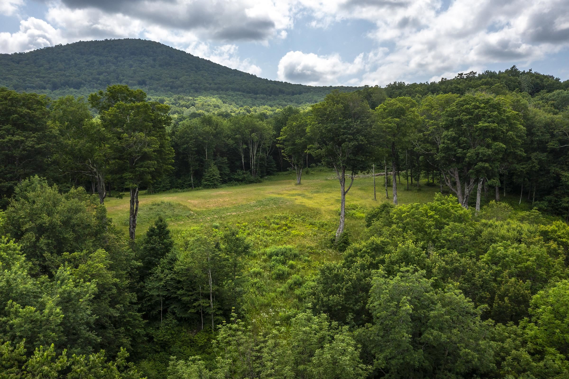 500 Nims Road Property Photo 29
