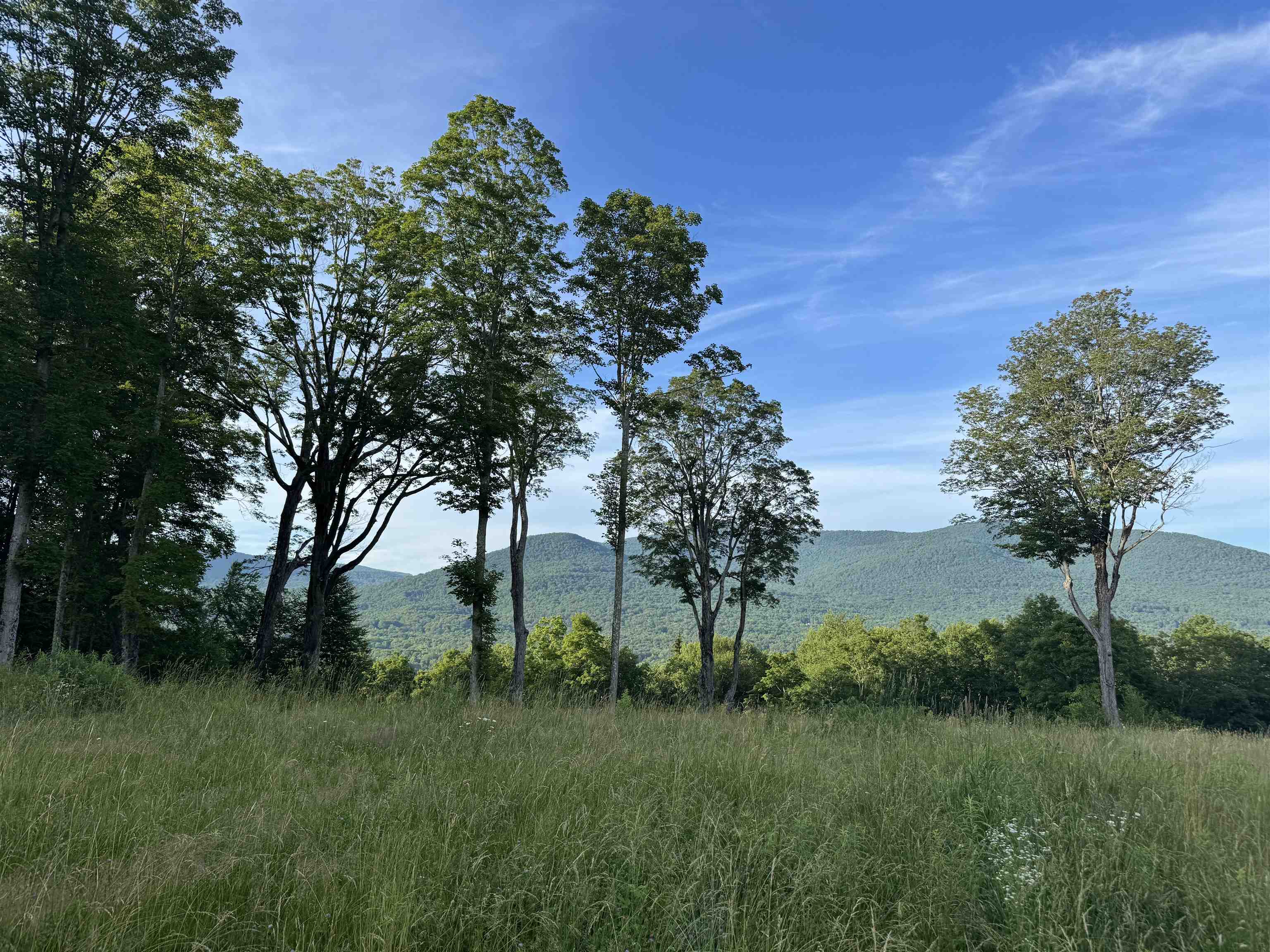 500 Nims Road Property Photo 39