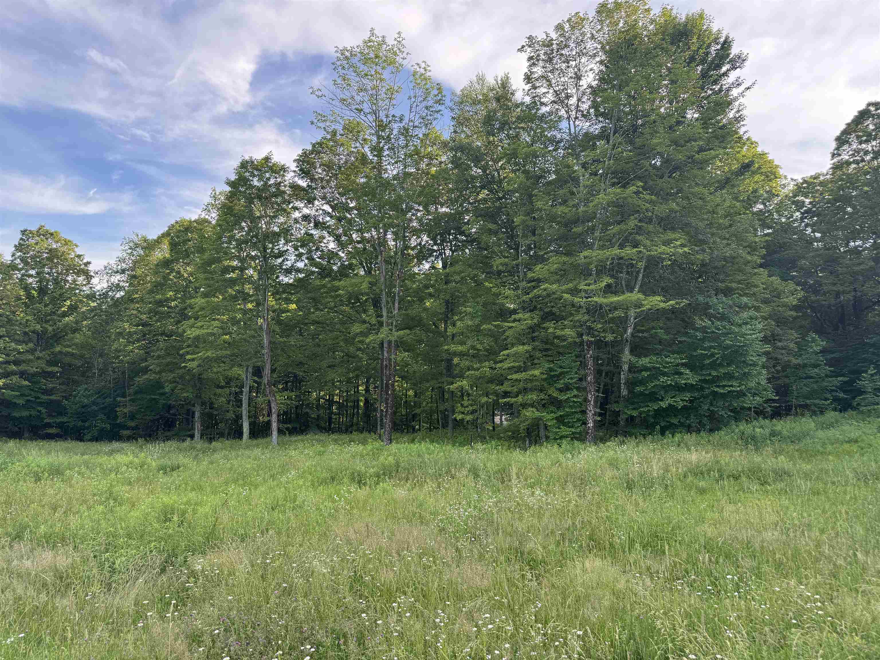 500 Nims Road Property Photo 42