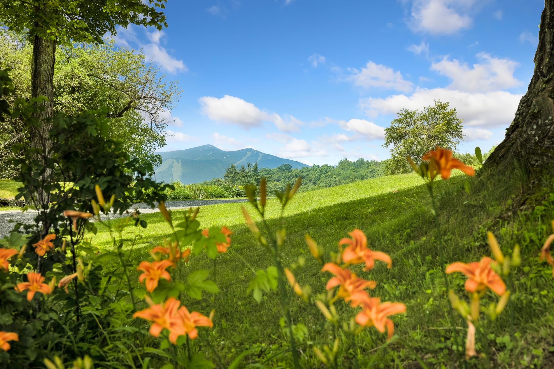 1279 Old Bridgewater Hill Road Property Photo 10