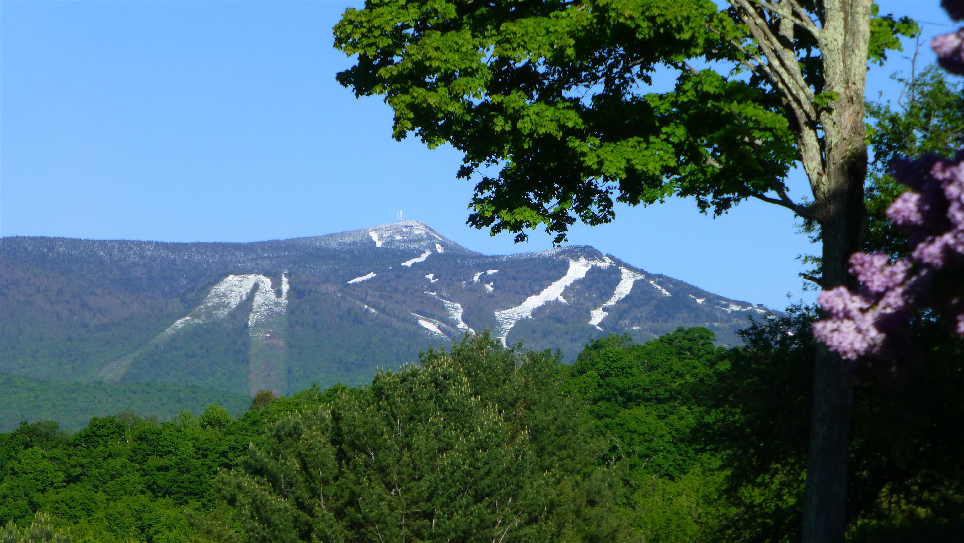 1279 Old Bridgewater Hill Road Property Photo 17